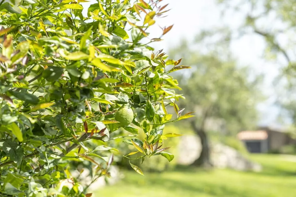 369659 - Niet-getagd