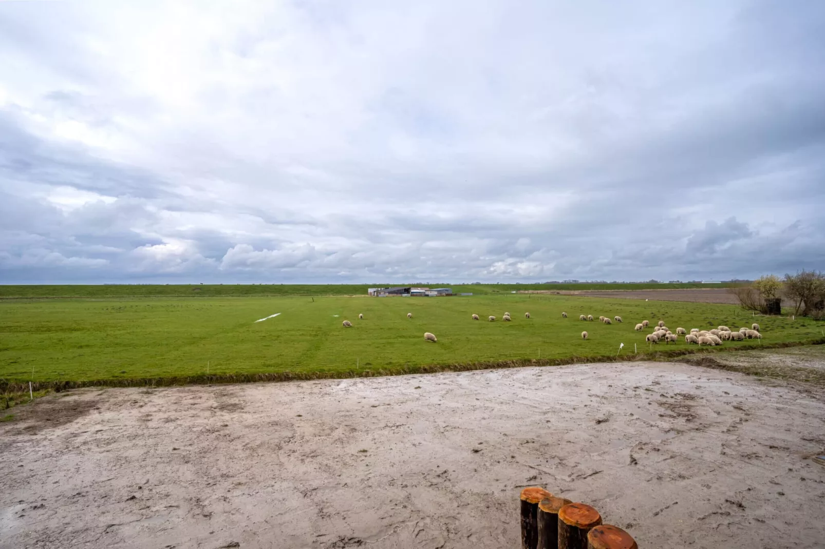 DDH Buhne-Tuinen zomer