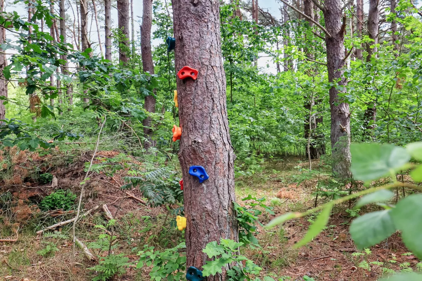 5 sterren vakantie huis in Læsø-By Traum - Uitzicht