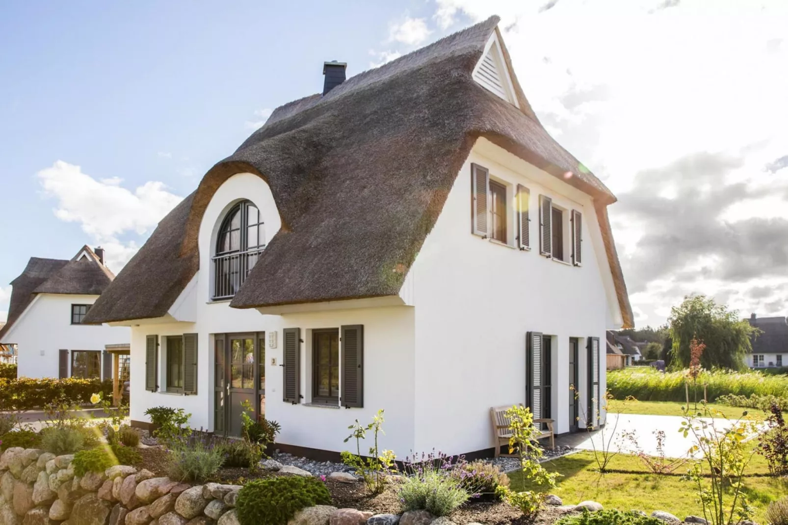 Schilfrohrsänger 54