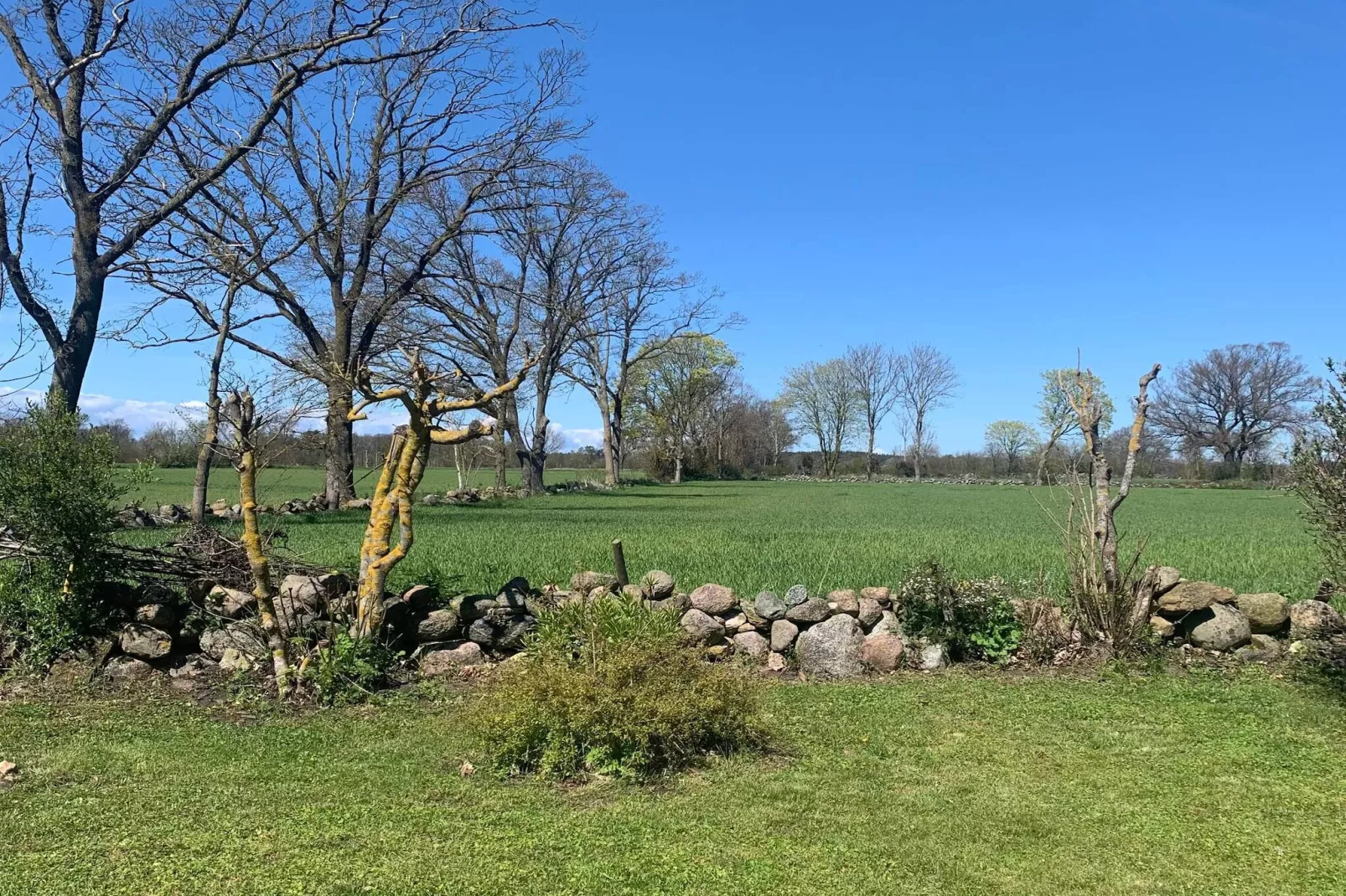 8 Personen vakantie huis in Löttorp-Buitenlucht