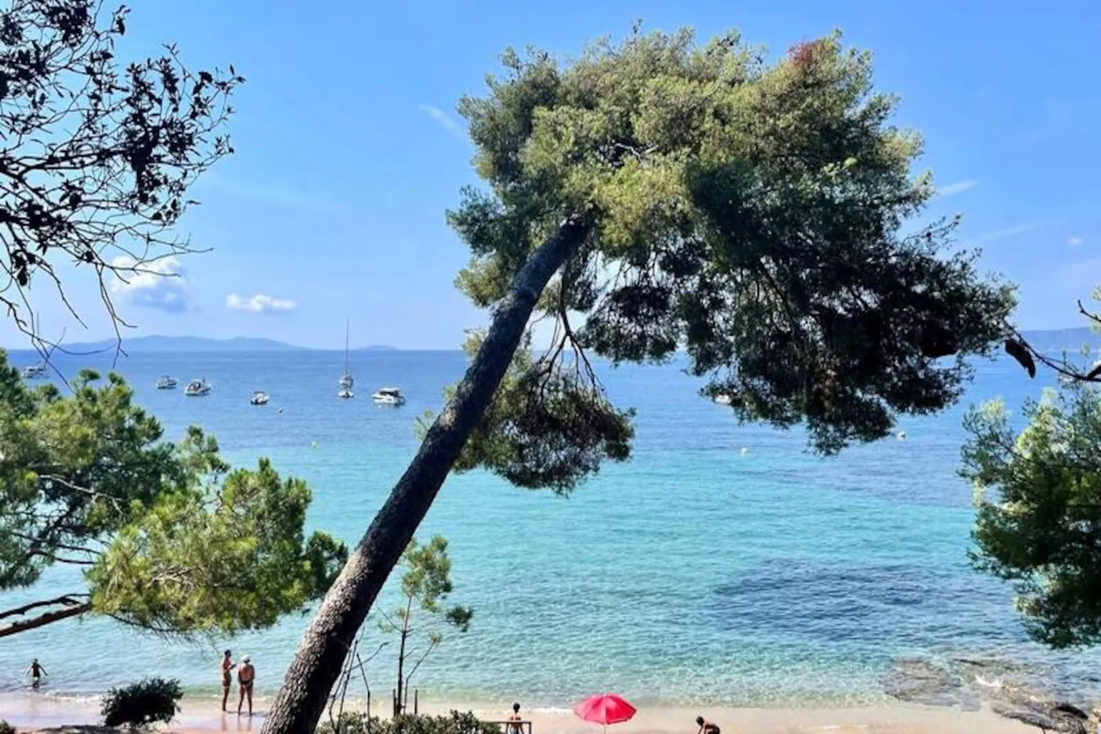 Résidence Un Jardin Au Bord De La M&eacute;diterran&eacute;e-Niet-getagd