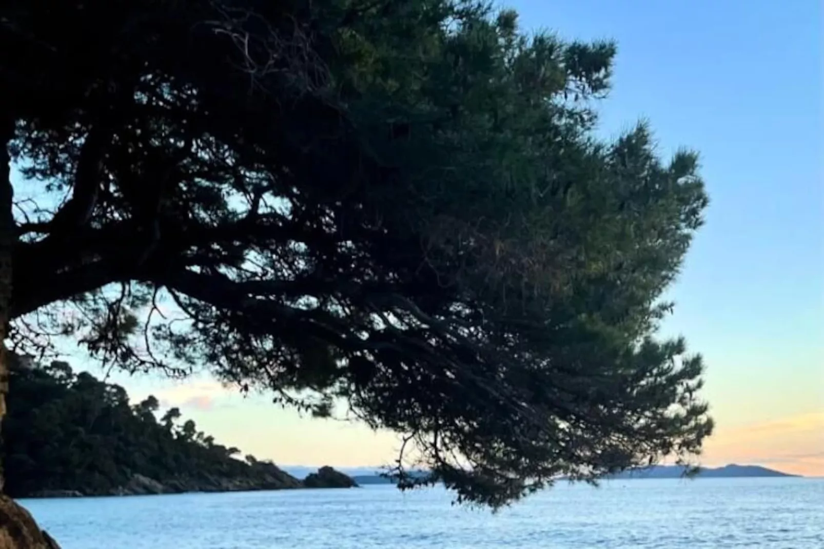 Résidence Un Jardin Au Bord De La M&eacute;diterran&eacute;e-Niet-getagd