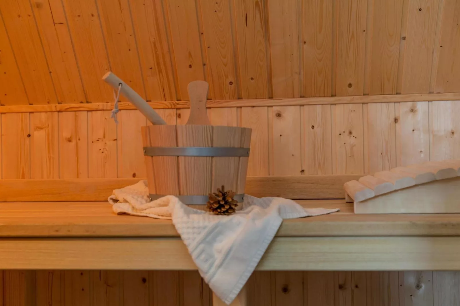 Schilfrohrsänger 54-Sauna