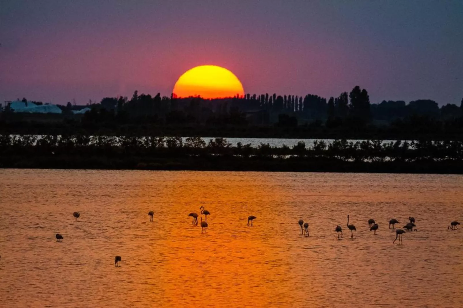 Acapulco C22-Gebieden zomer 20km