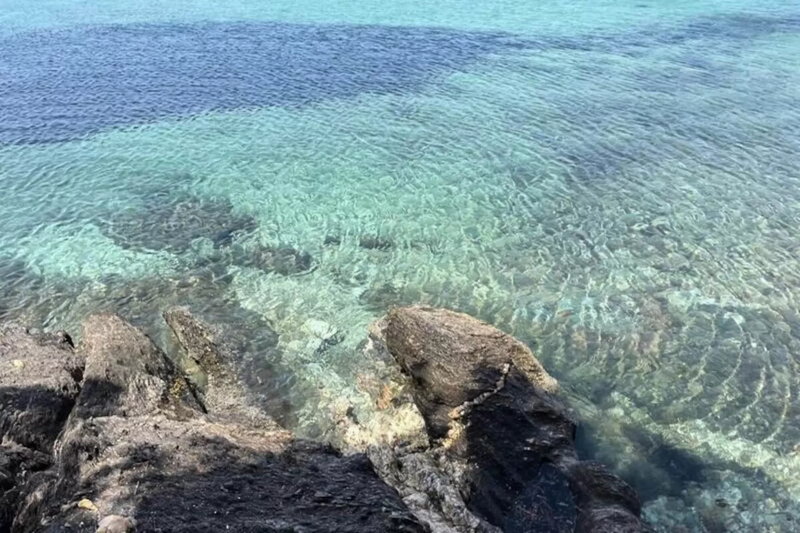 Résidence Un Jardin Au Bord De La M&eacute;diterran&eacute;e-Niet-getagd