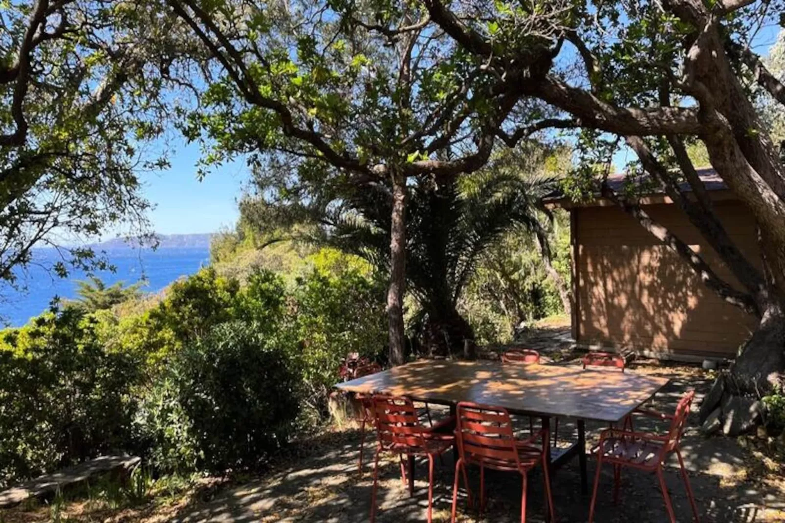 Résidence Un Jardin Au Bord De La M&eacute;diterran&eacute;e-Niet-getagd