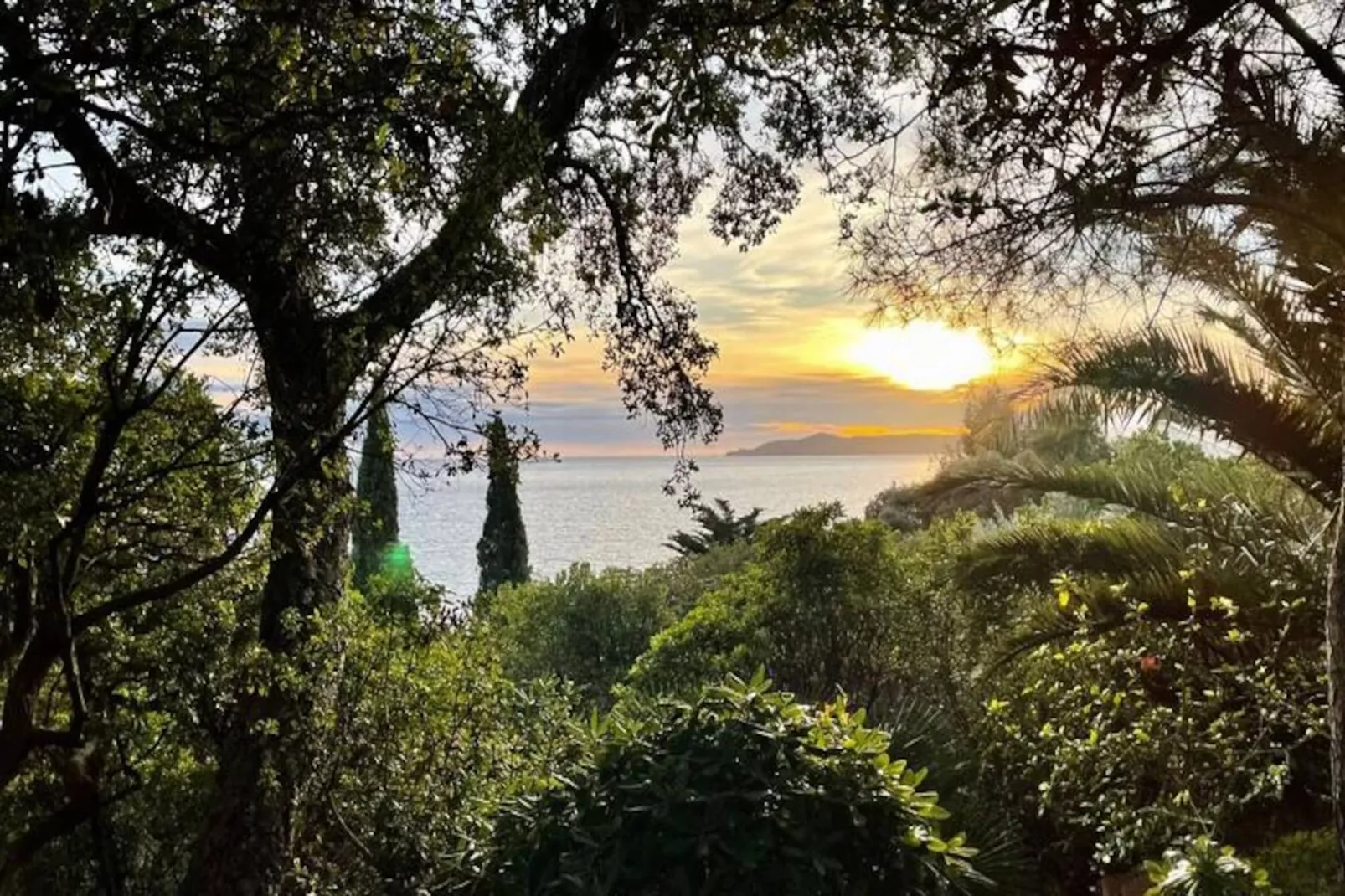Résidence Un Jardin Au Bord De La M&eacute;diterran&eacute;e-Niet-getagd