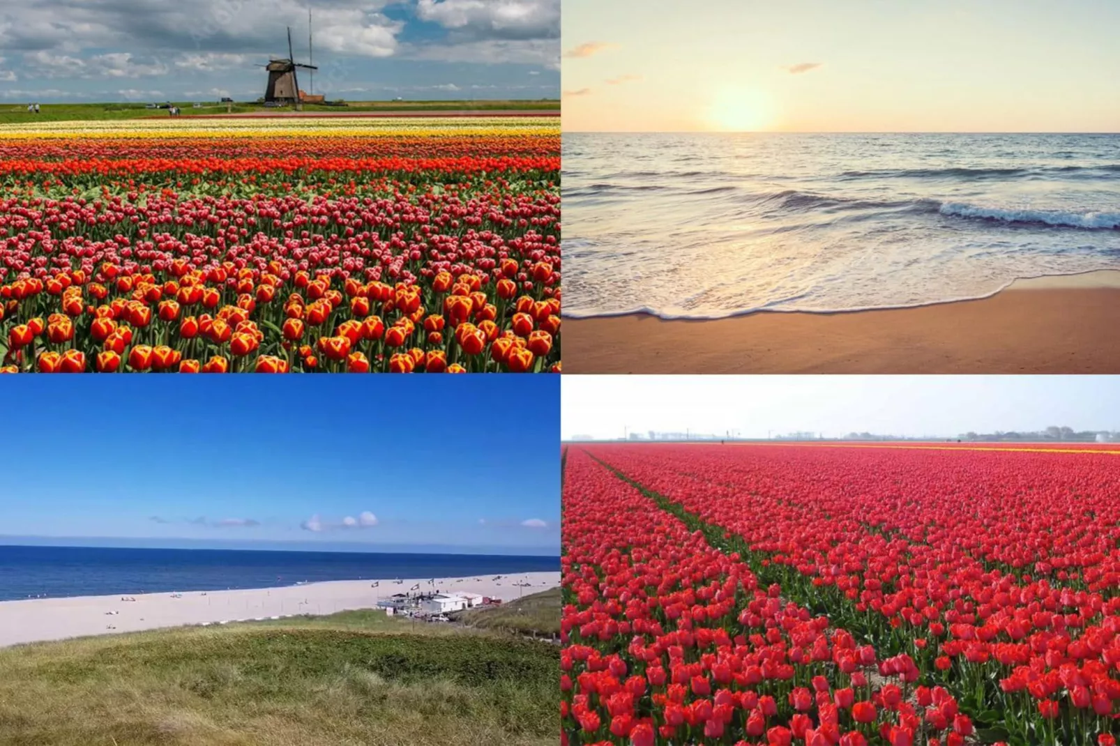 Wijde Blick 011-Niet-getagd