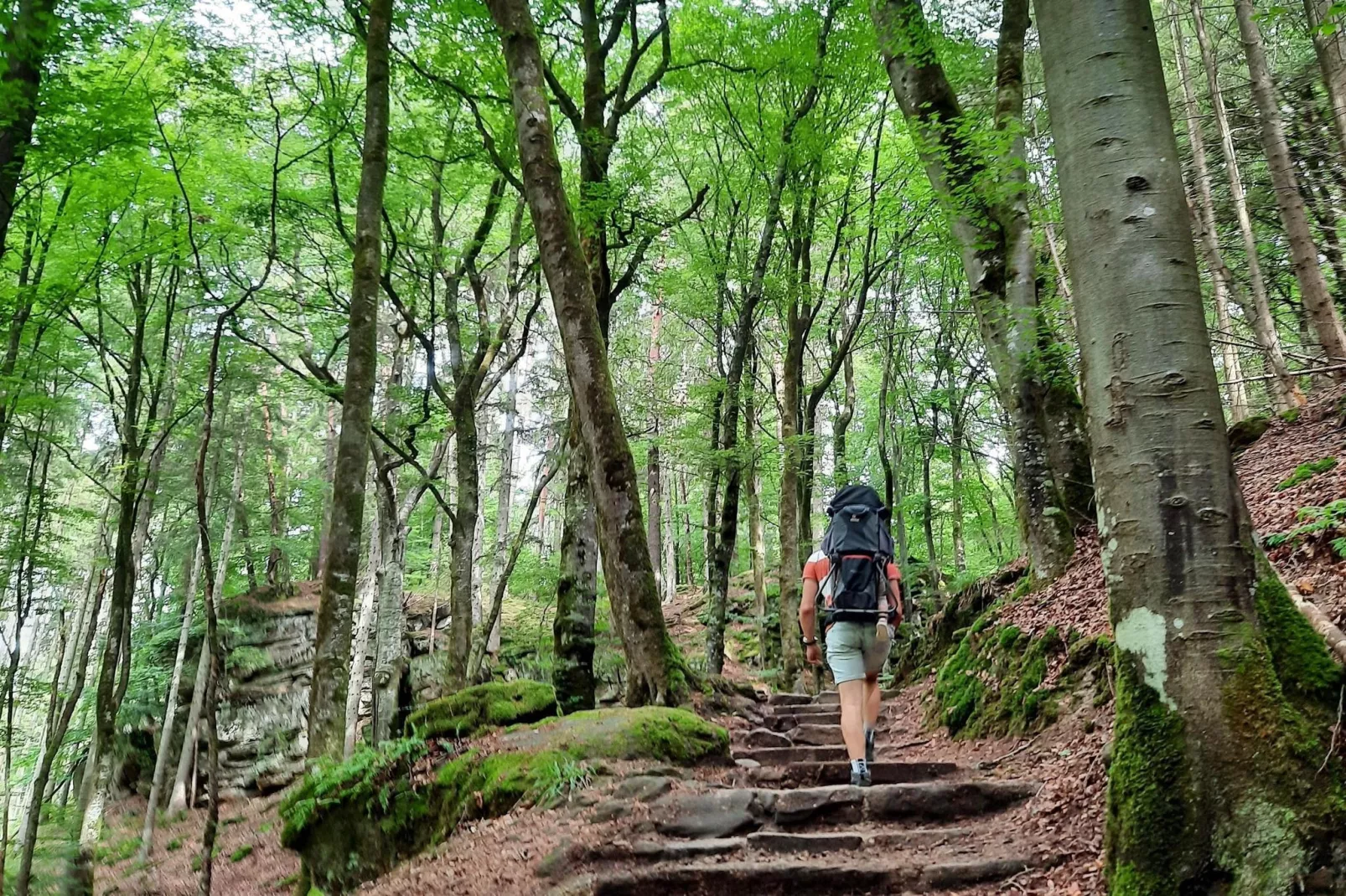 Camping Auf Kengert 2-Gebieden zomer 1km