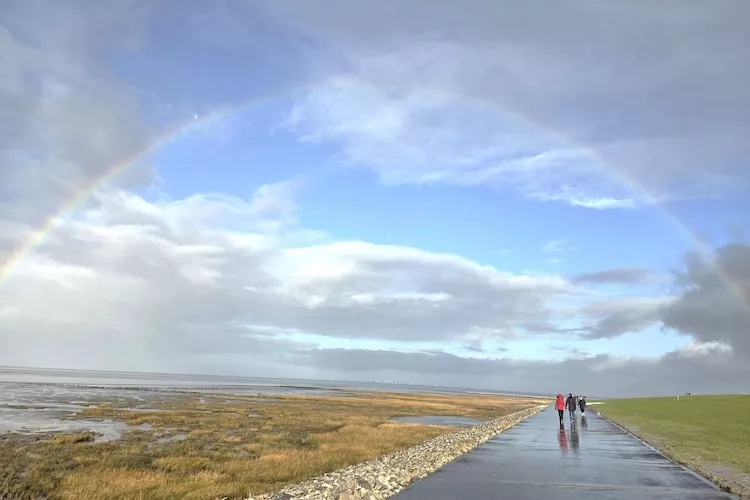 Kleiner Steert 11 b-Gebieden zomer 1km