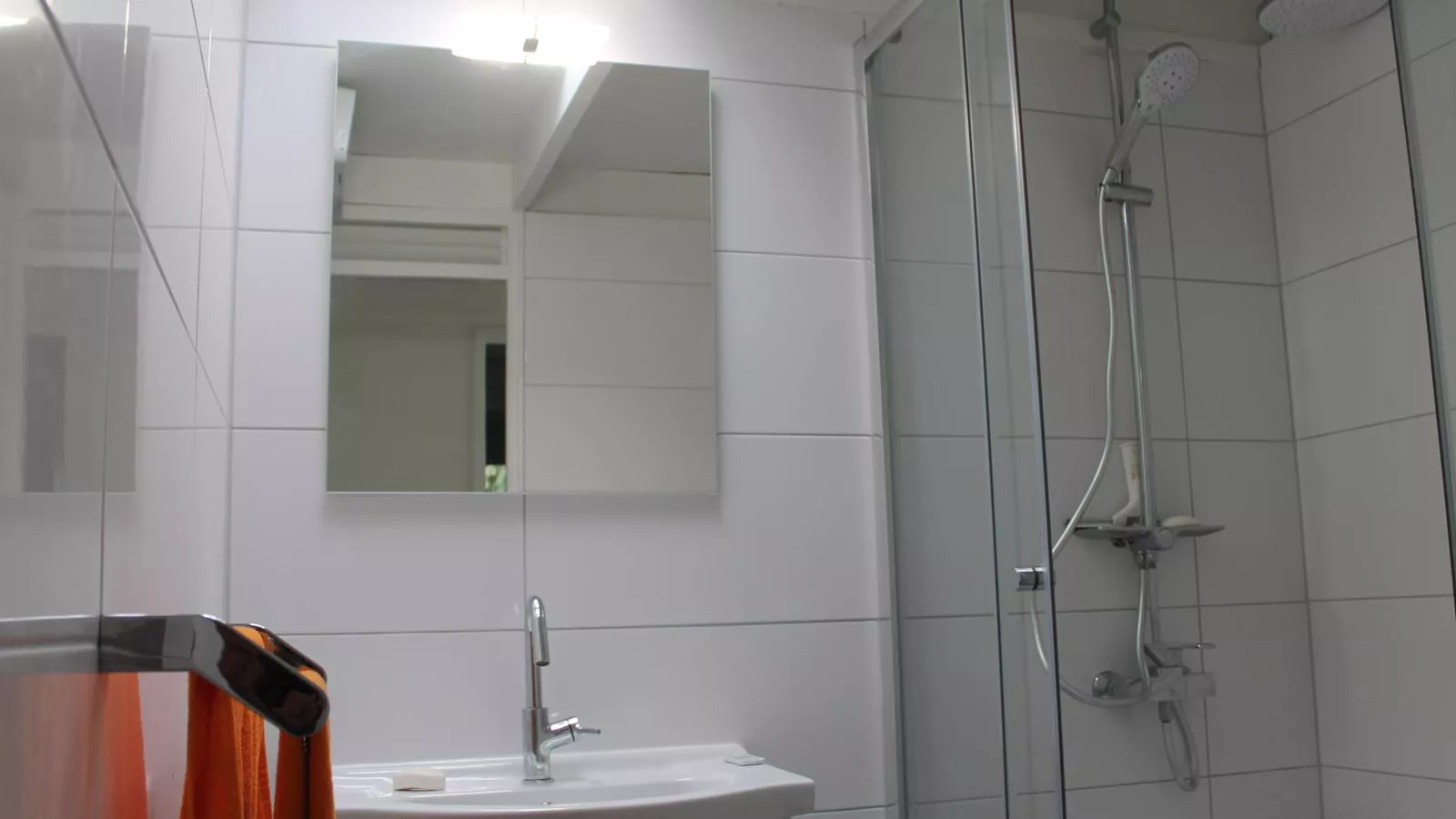 Bungalow Sonnerust - Badkamer