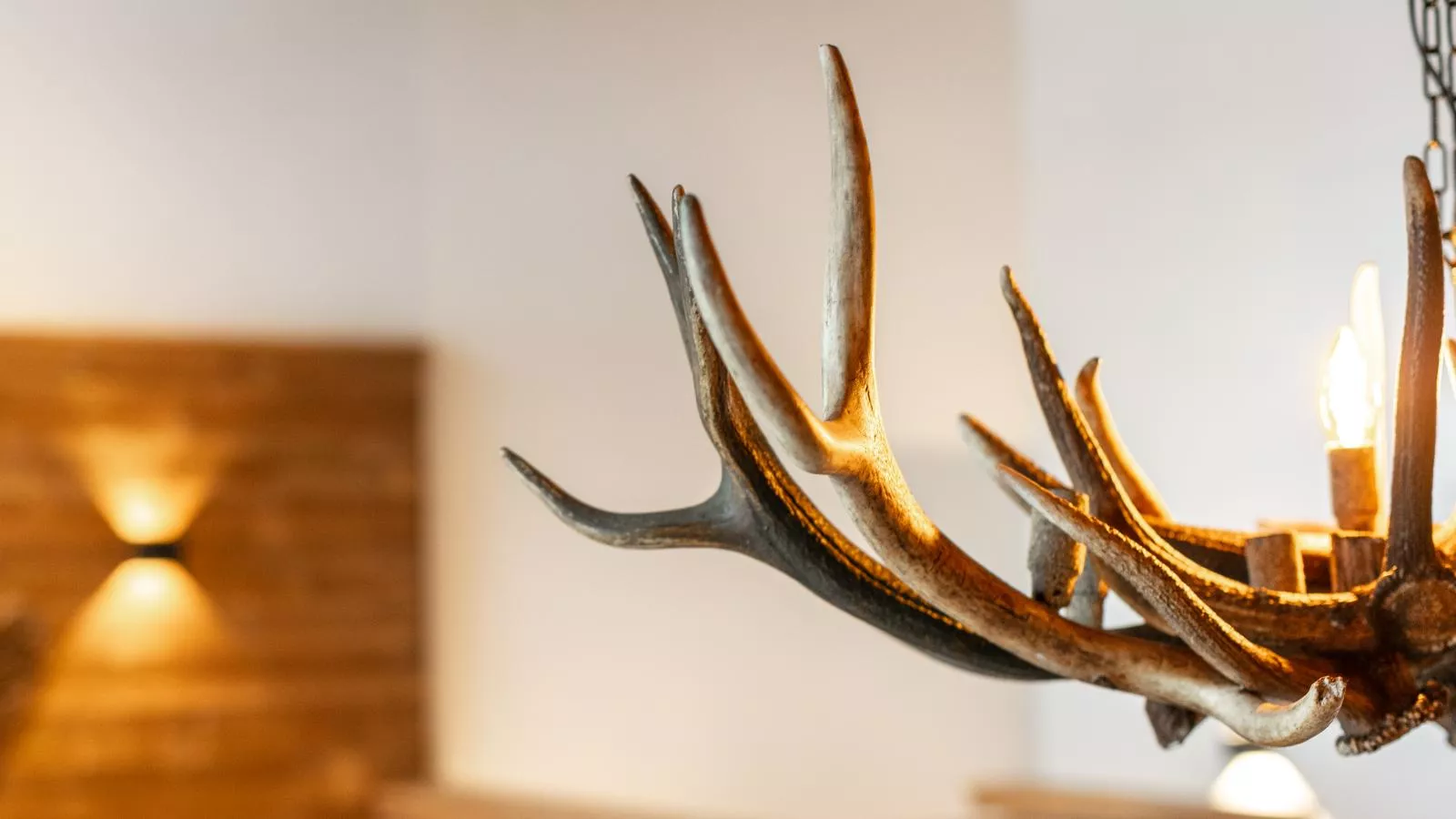 Tauernlodge Eben A2-Sfeer