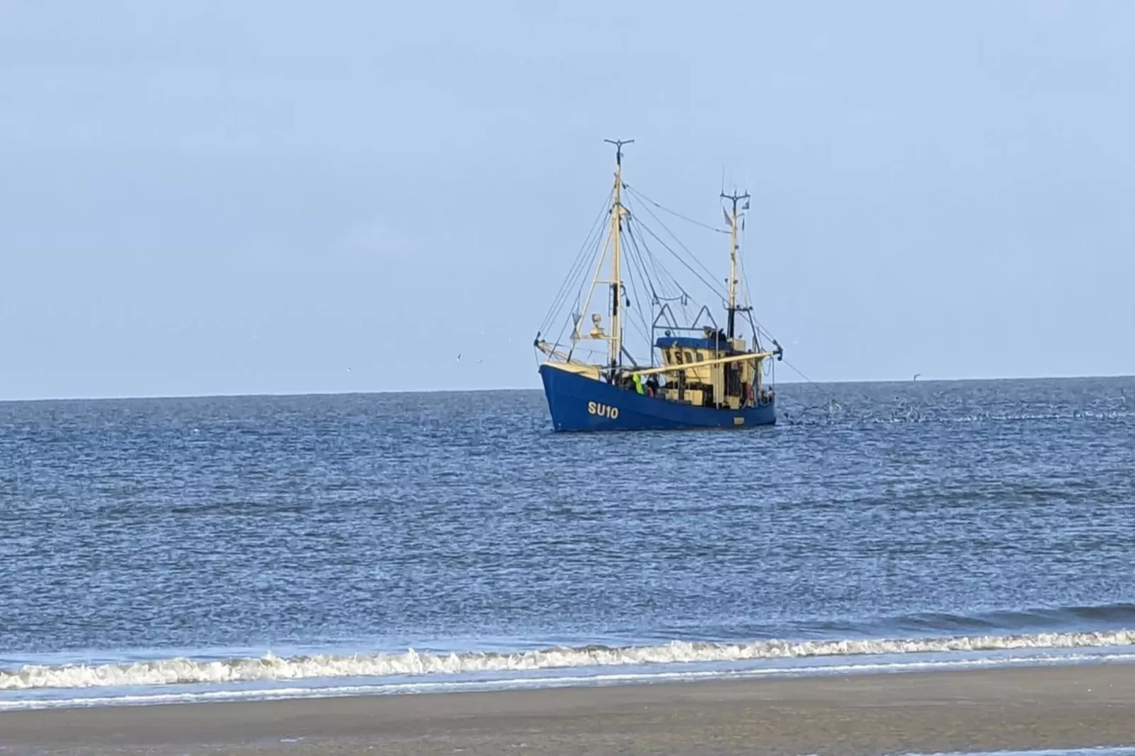 Anleger 157-Gebieden zomer 1km