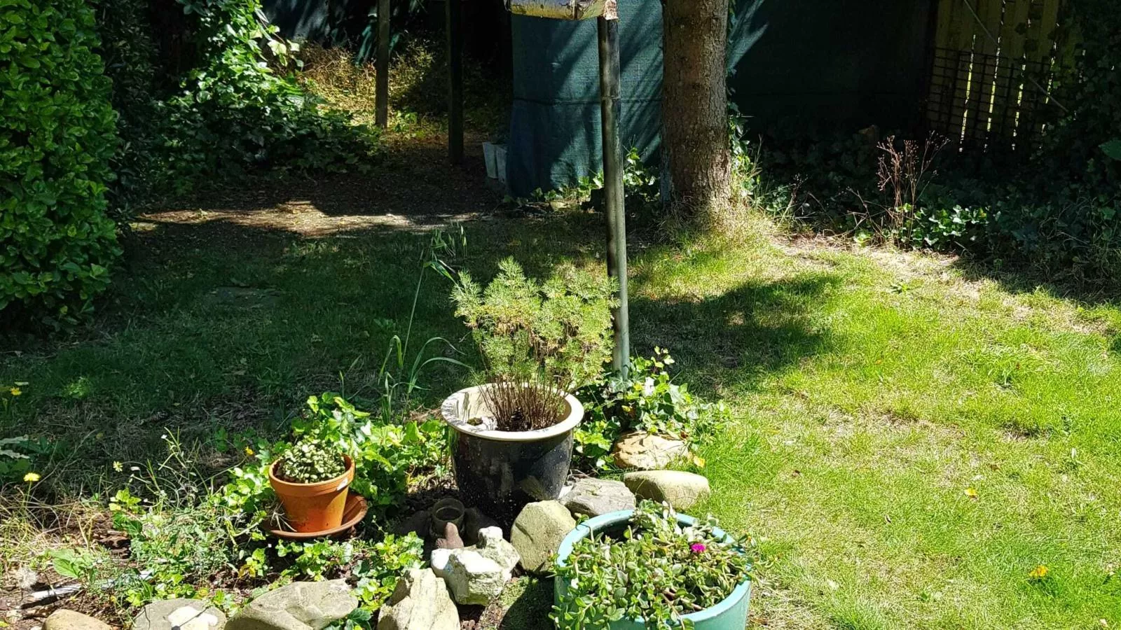 Bungalow Sonnerust - Tuinen zomer