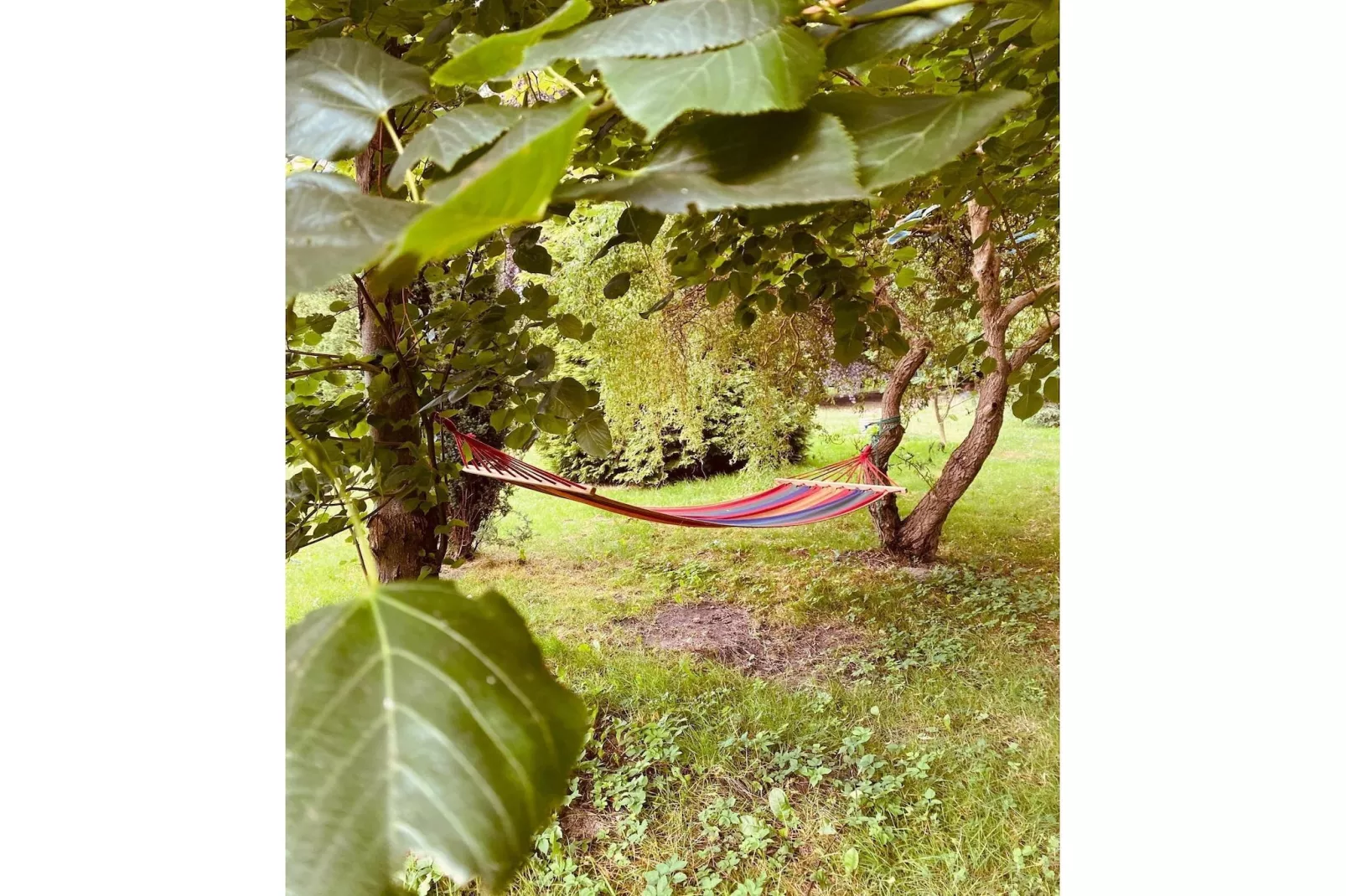 Dom przy drodze Skansen dla 10 osób Bełczna-Tuinen zomer