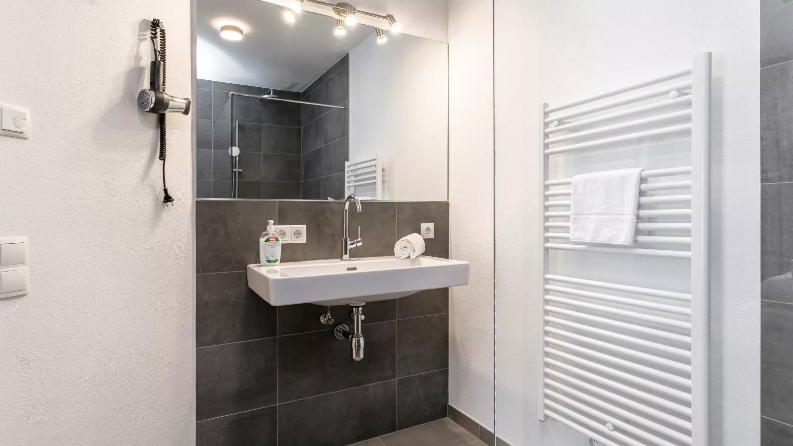 Tauernlodge Eben A2-Badkamer