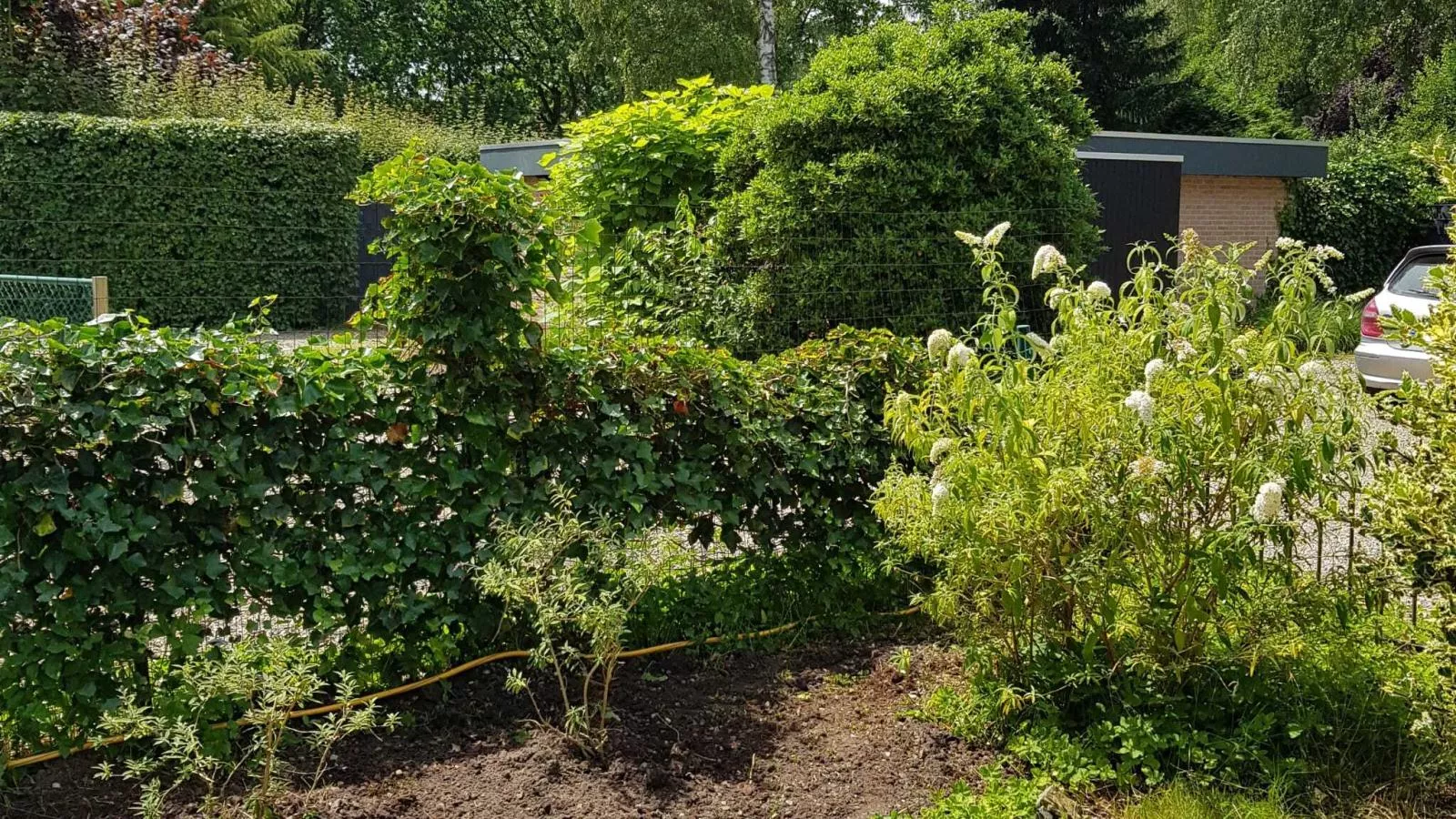 Bungalow Sonnerust - Tuinen zomer