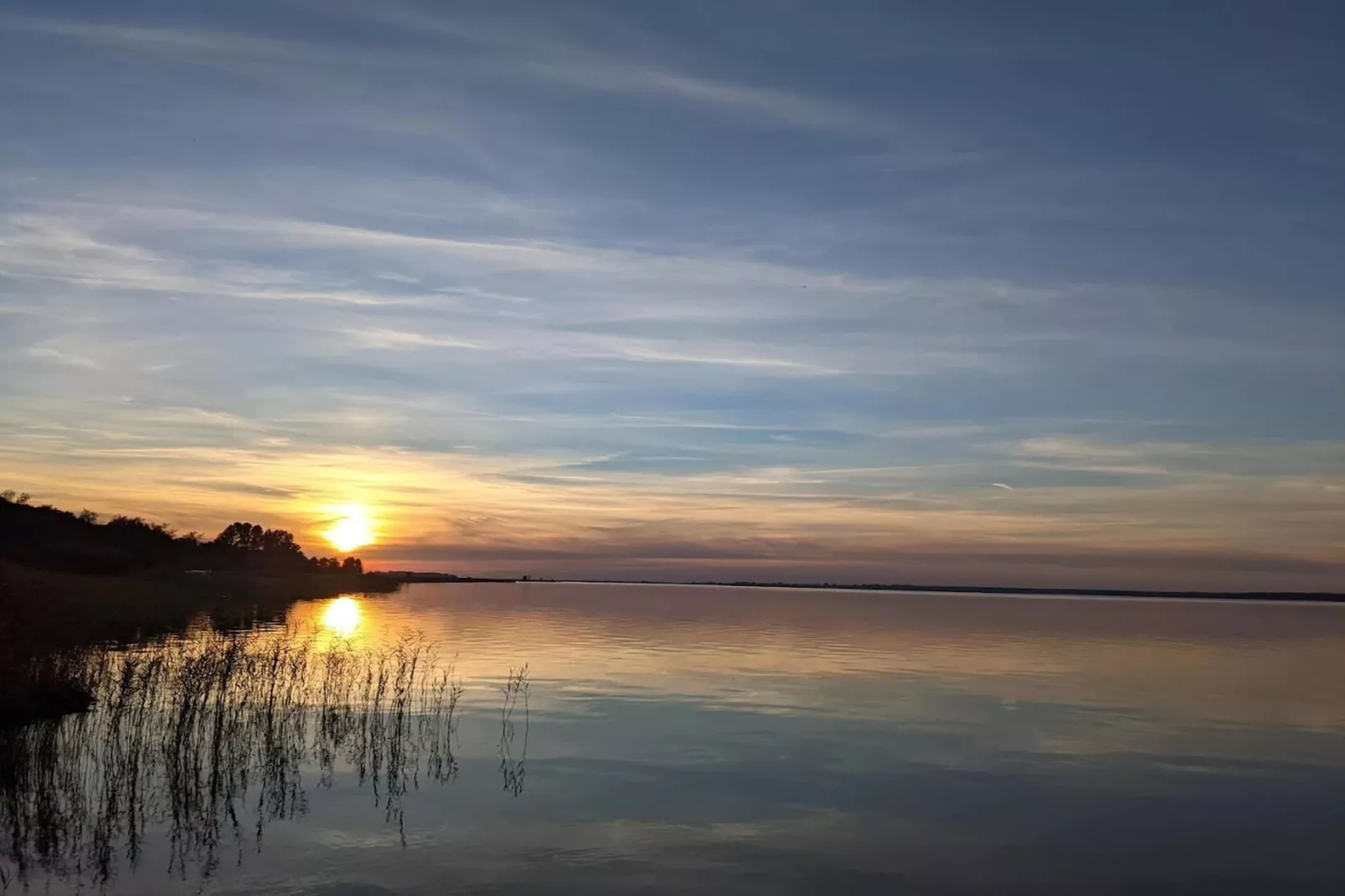 Schilfrohrsänger 26-Image-tags.water view