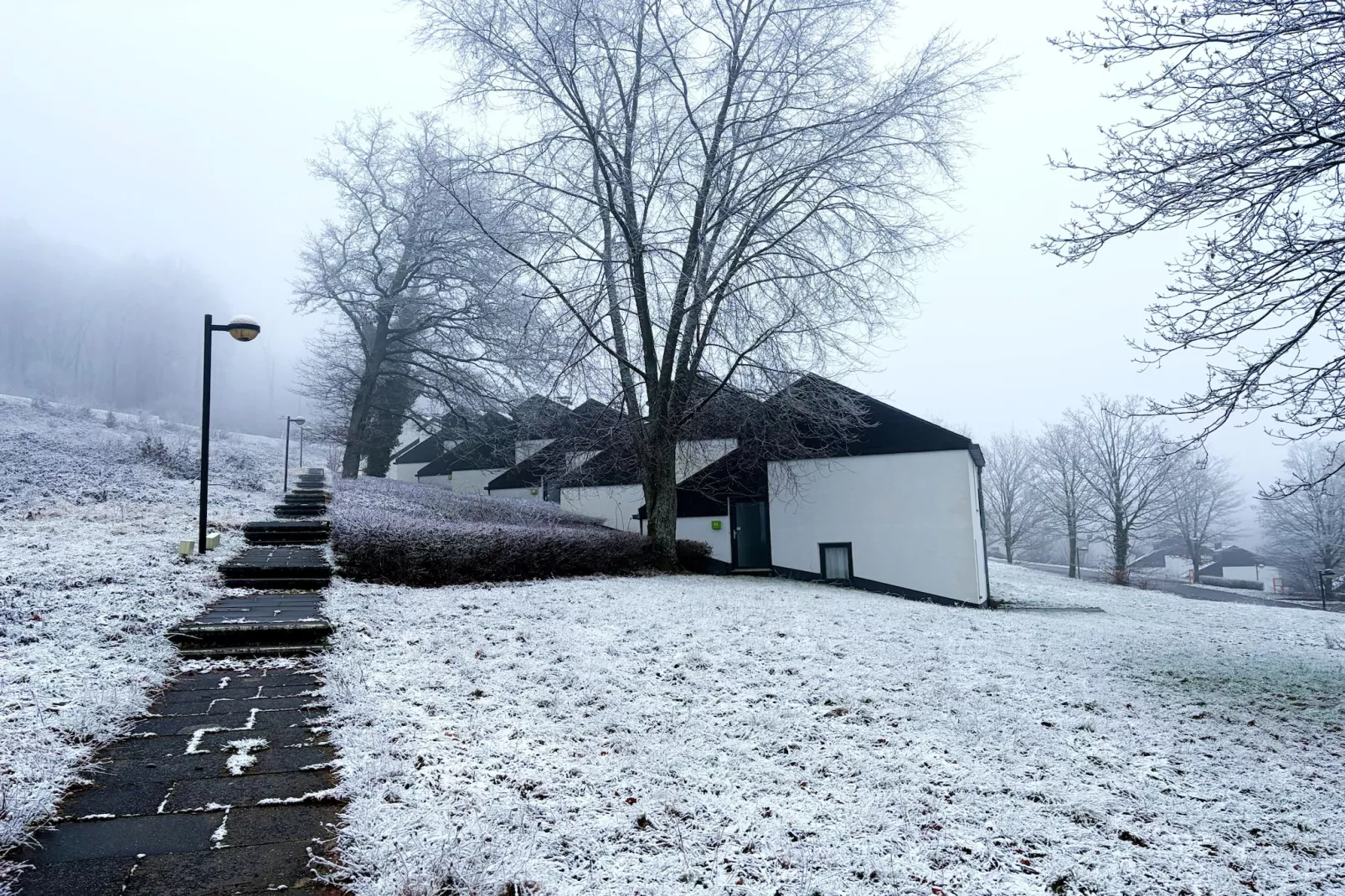 Comfort Eingang 6P - Basic - Tuin winter