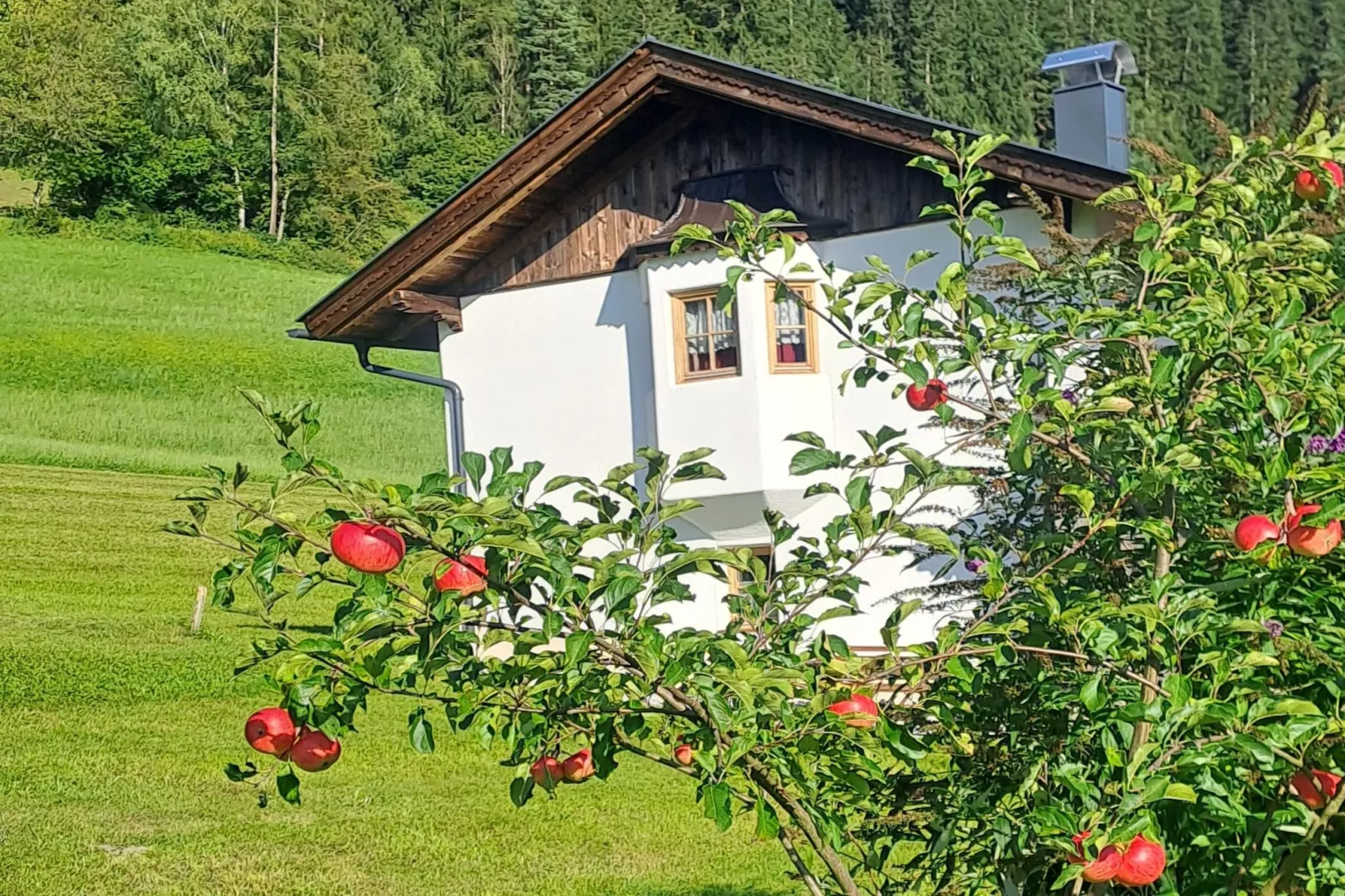 Chalet Anna-Tuinen zomer