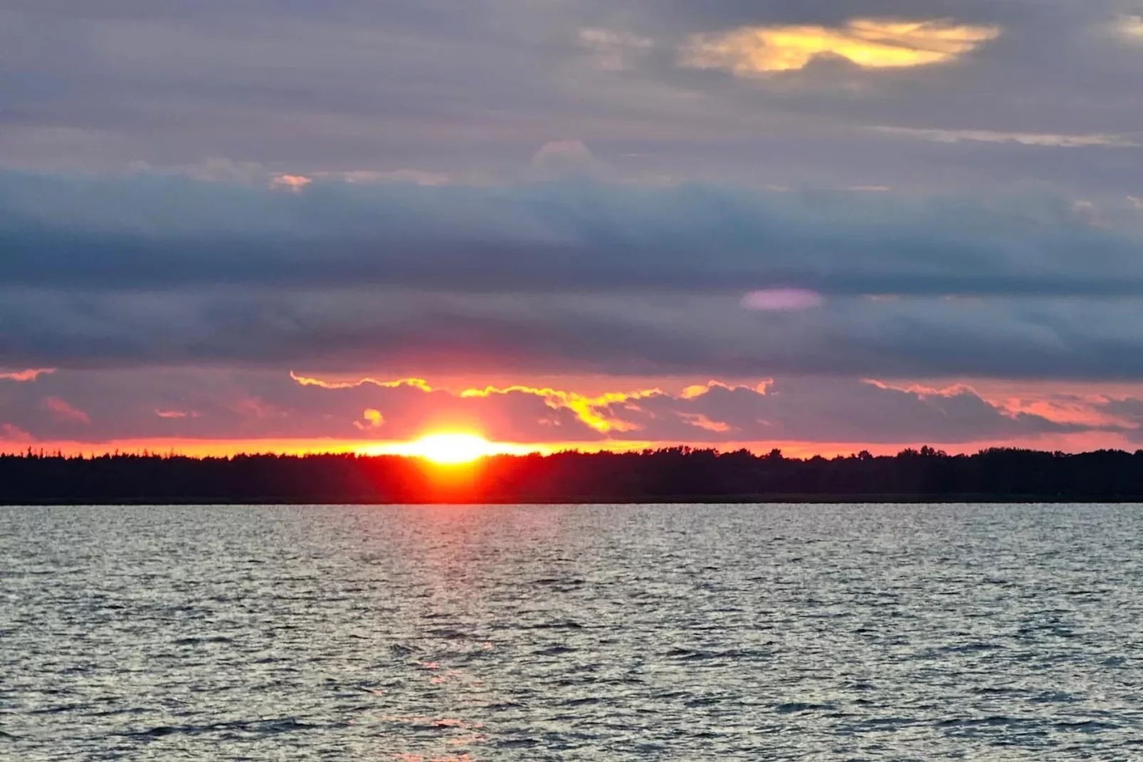 Schilfrohrsänger 26-Image-tags.water view