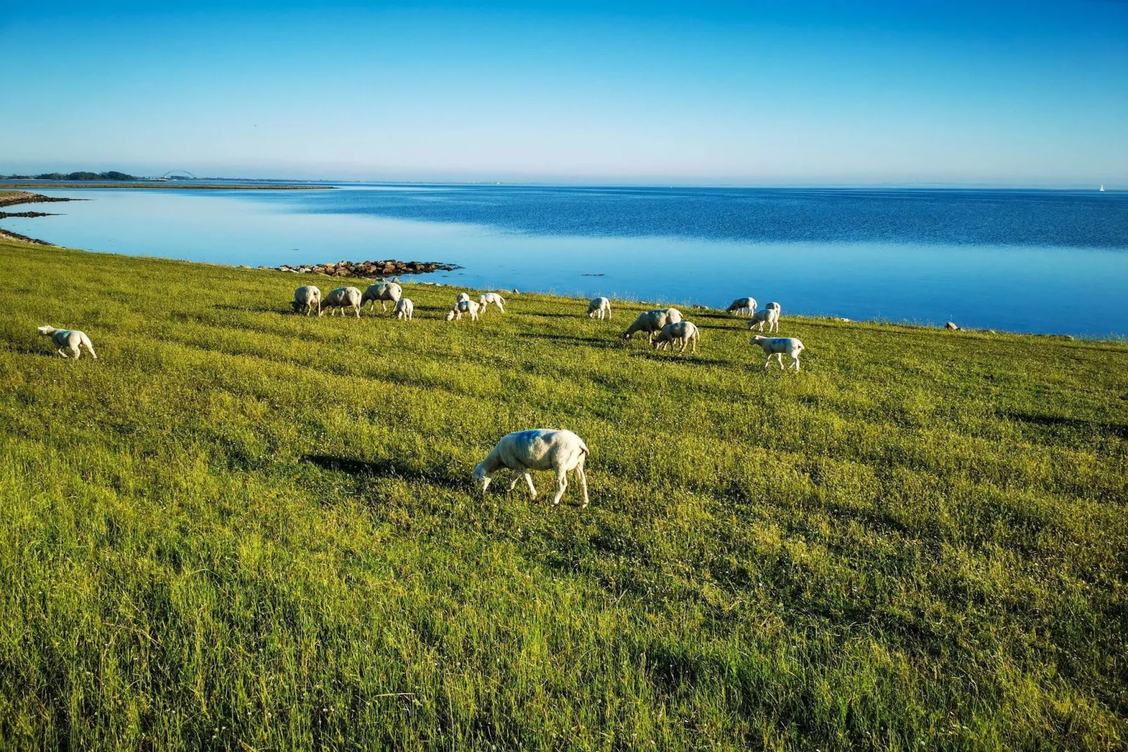 Haus am Meer-Image-tags.water view