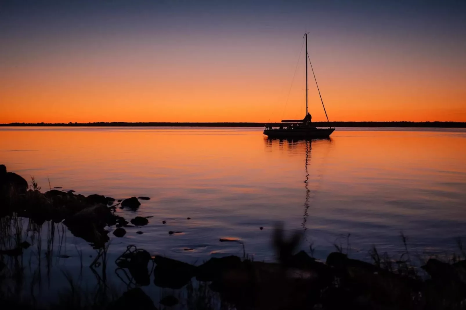 Schilfrohrsänger 26-Image-tags.water view