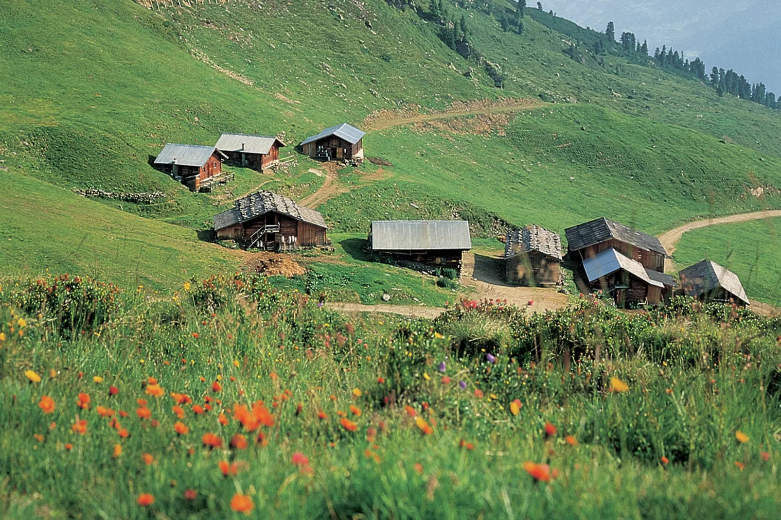 Chalet Anna-Gebieden zomer 5km