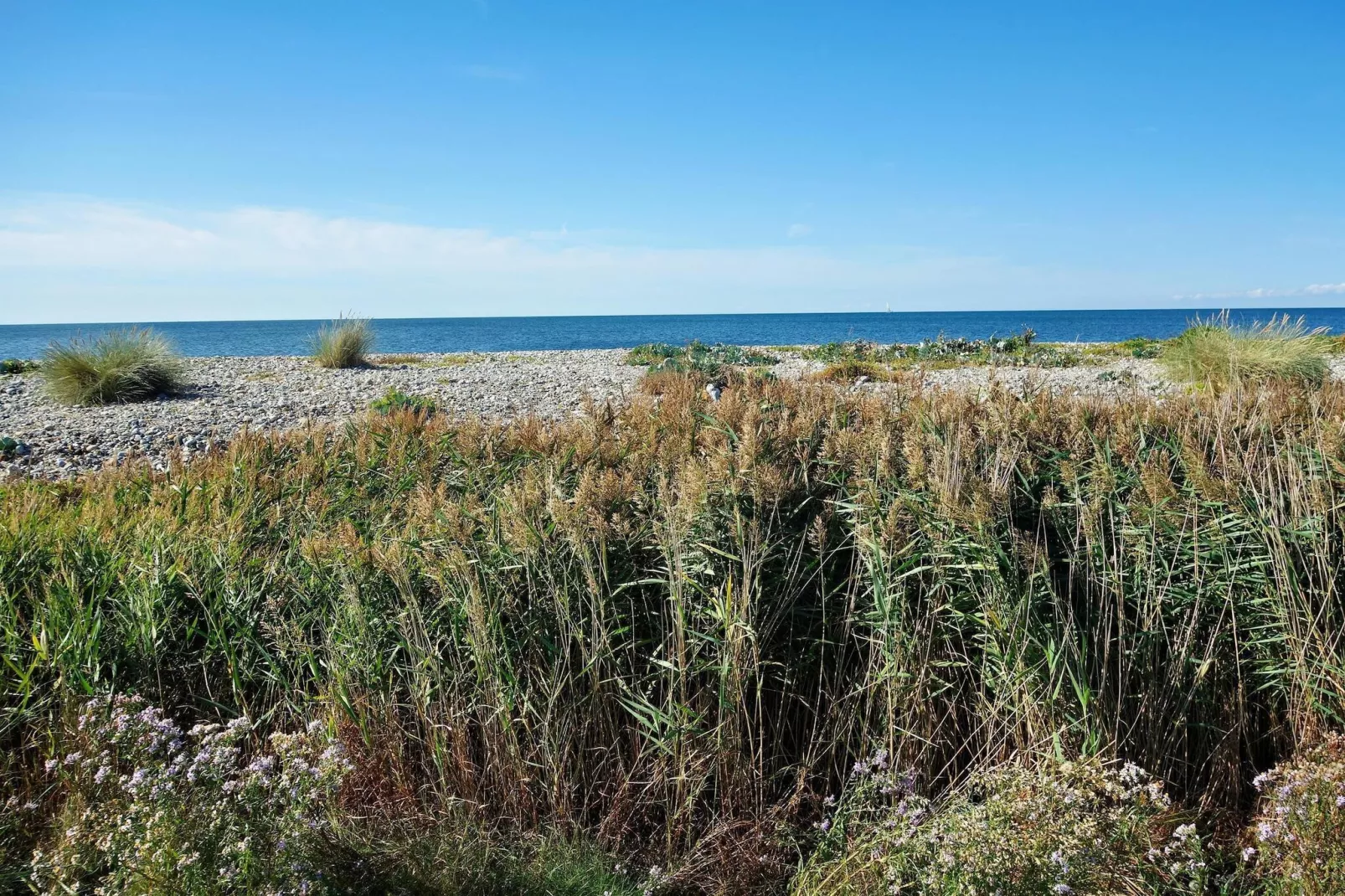 Inselresort Marco Polo-Gebieden zomer 1km
