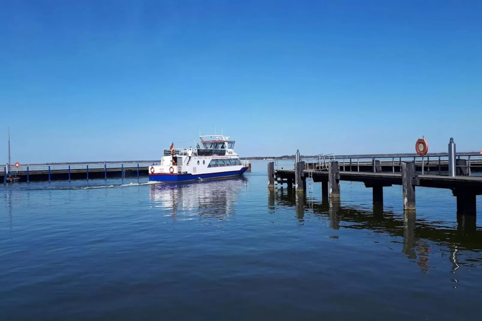 Schilfrohrsänger 26-Image-tags.water view