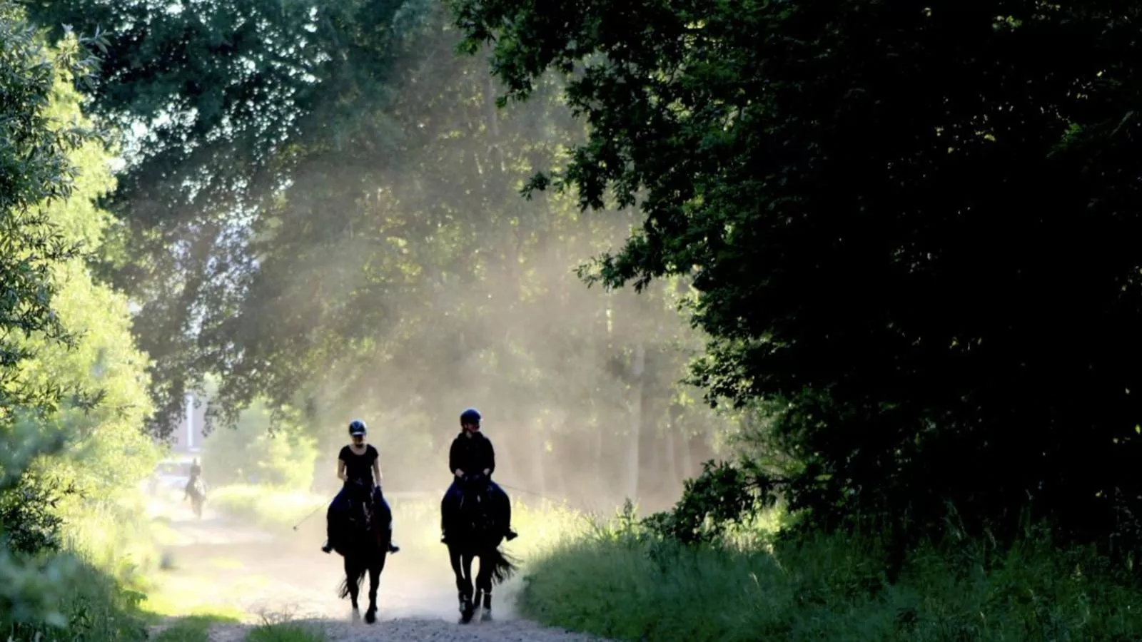 Bungalow Sonnerust - Gebieden zomer 1km