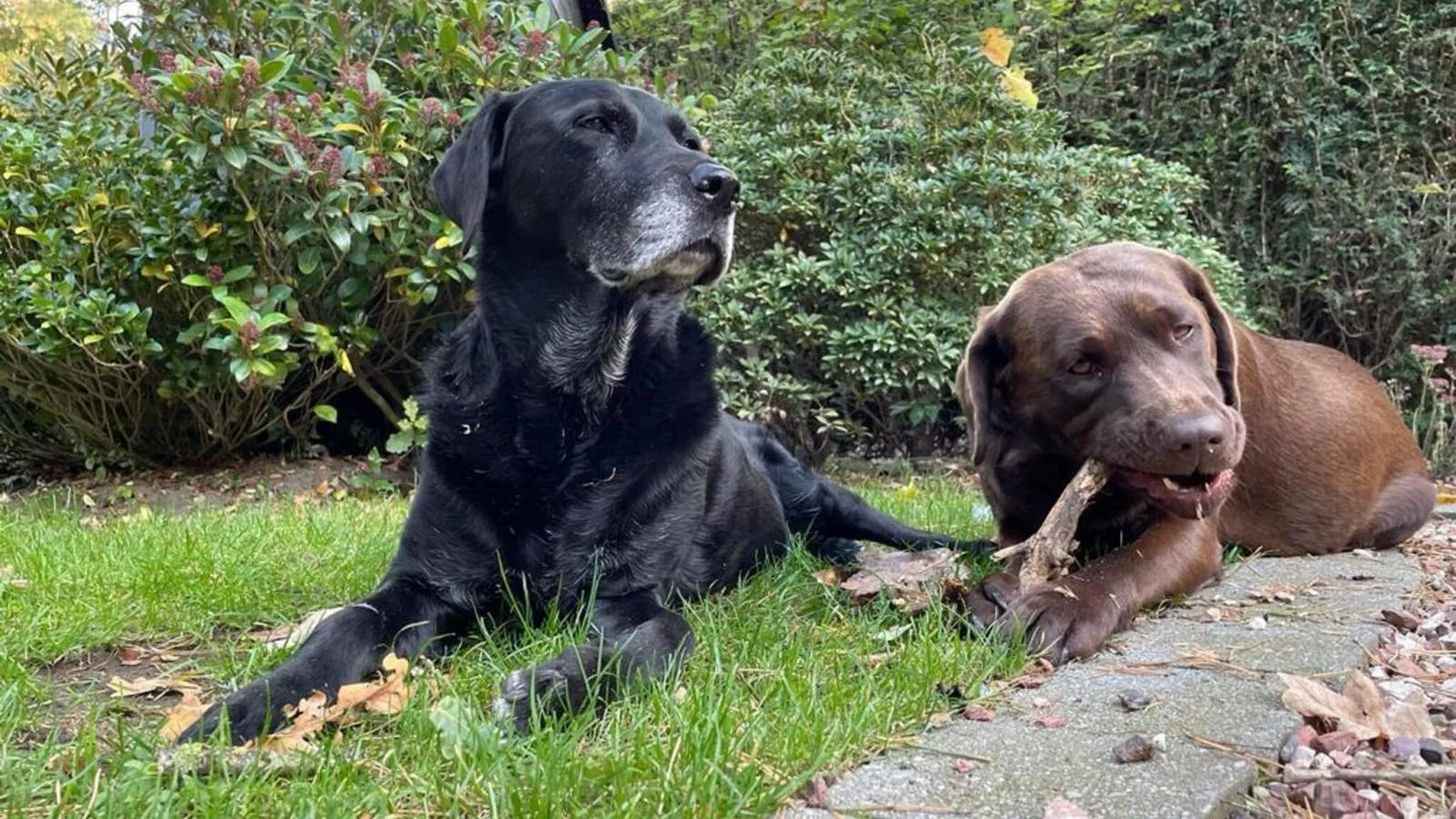 Bungalow Sonnerust - Sfeer