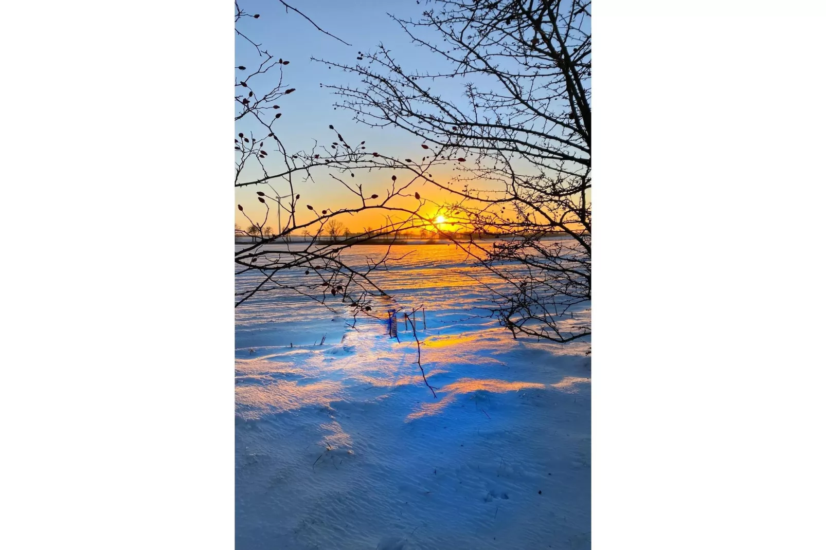 Dom przy drodze Skansen dla 10 osób Bełczna-Gebieden zomer 5km