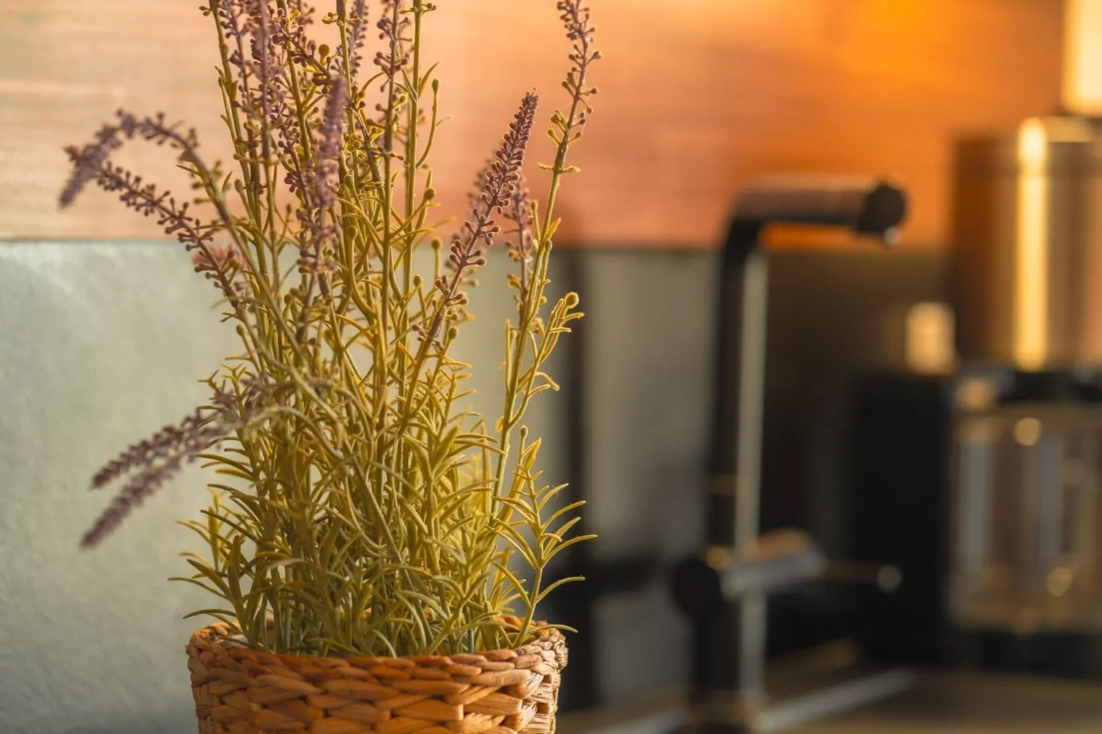 Poolhaus 140 qm-Sfeer