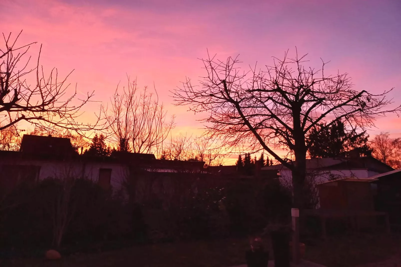 Fewo Amber 3 P-Uitzicht winter