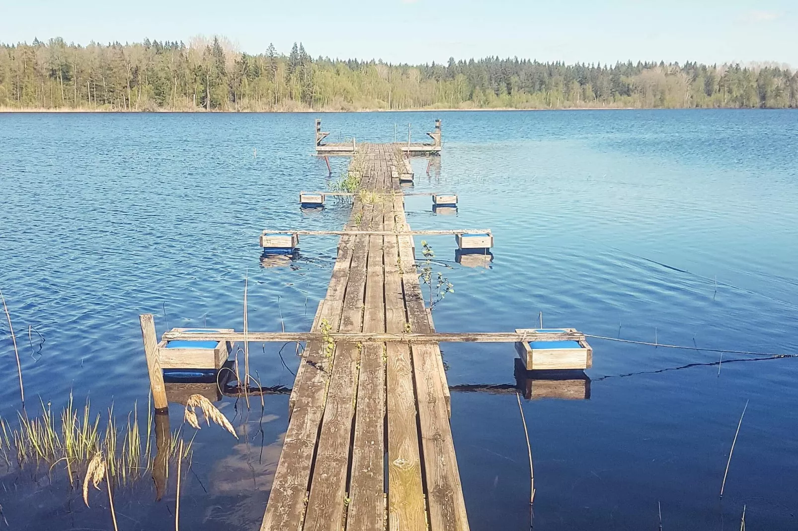 8 Personen vakantie huis in HÖGSBY - Buitenlucht