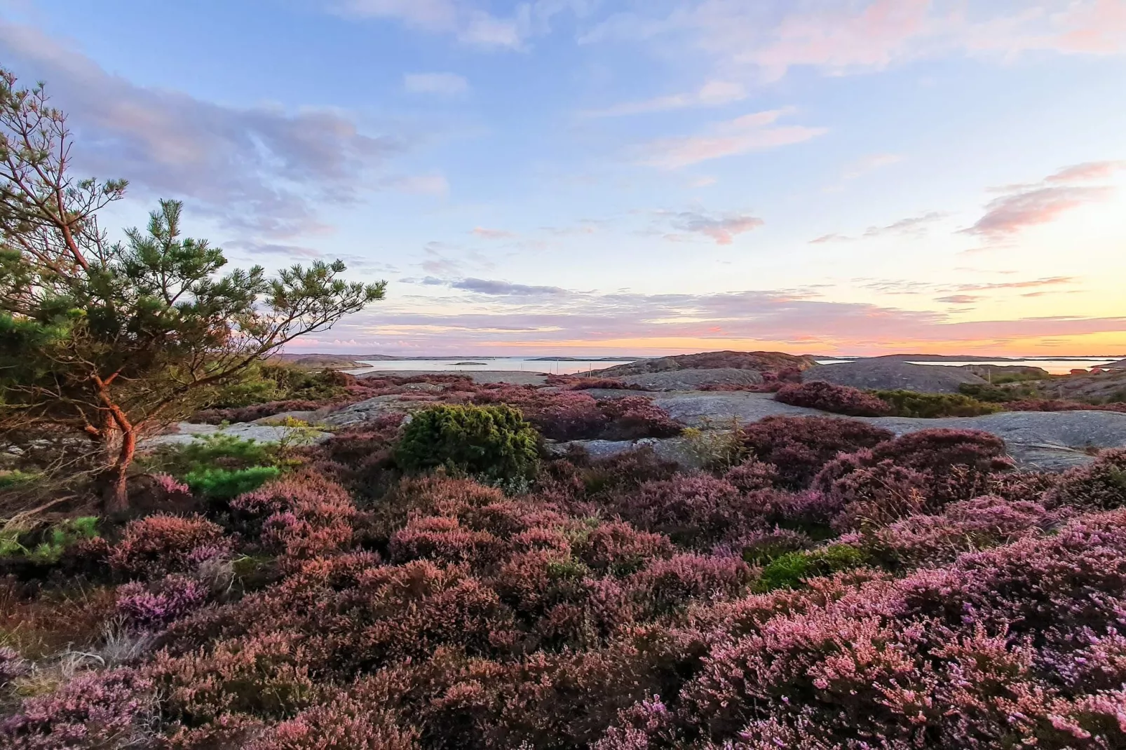 4 persoons vakantie huis in HÄLLEVIKSSTRAND - Niet-getagd