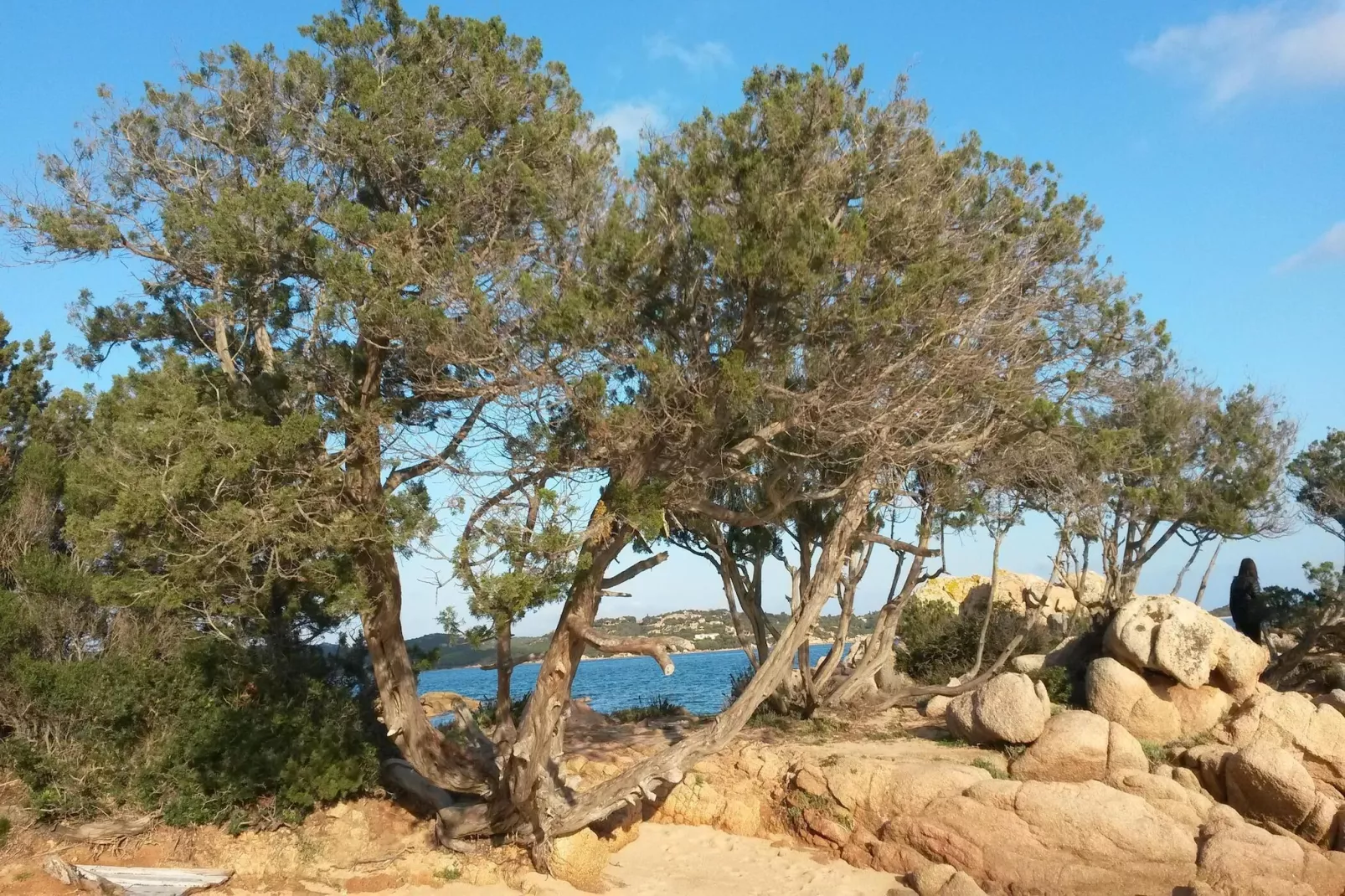 Apartments Cannigione - Type Bilocale Paradise-Gebieden zomer 5km