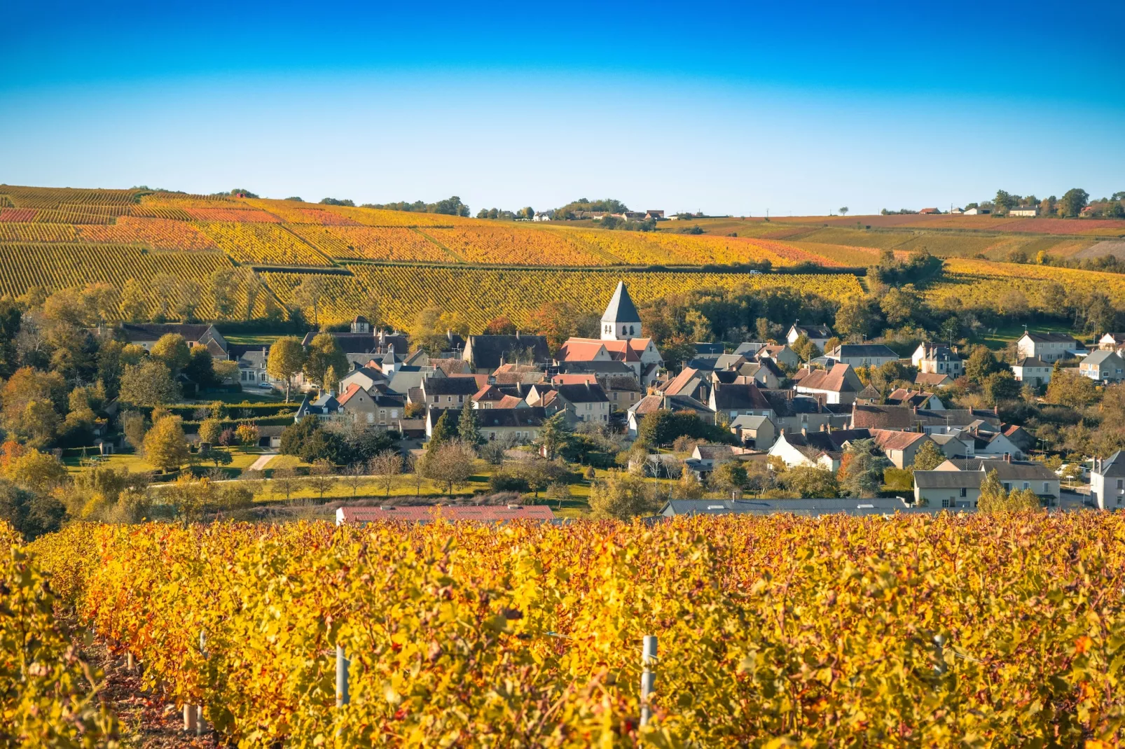 Gîte Les Charmes-Gebieden zomer 1km