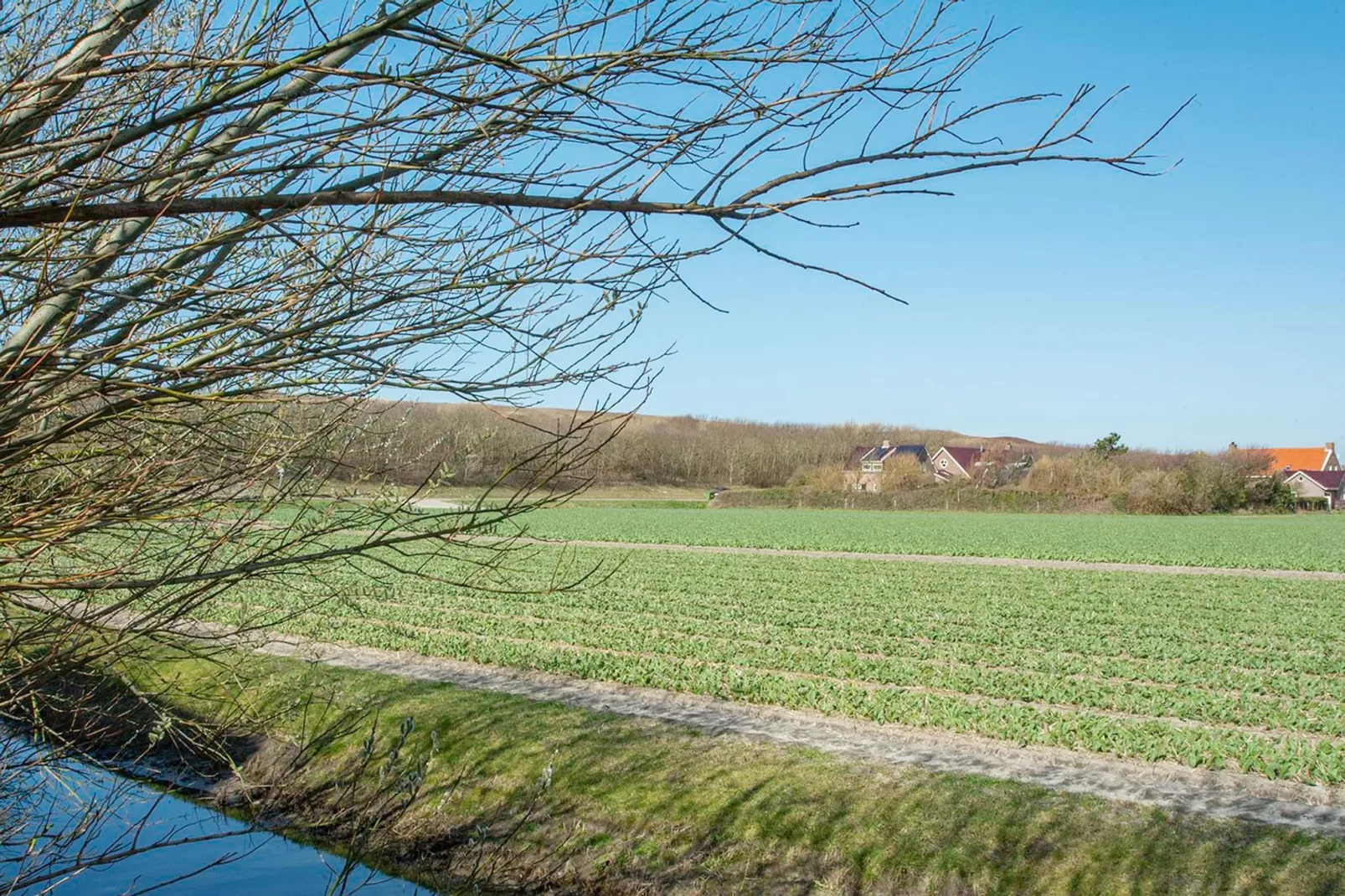 Résidence Juliana 21-Gebieden zomer 5km