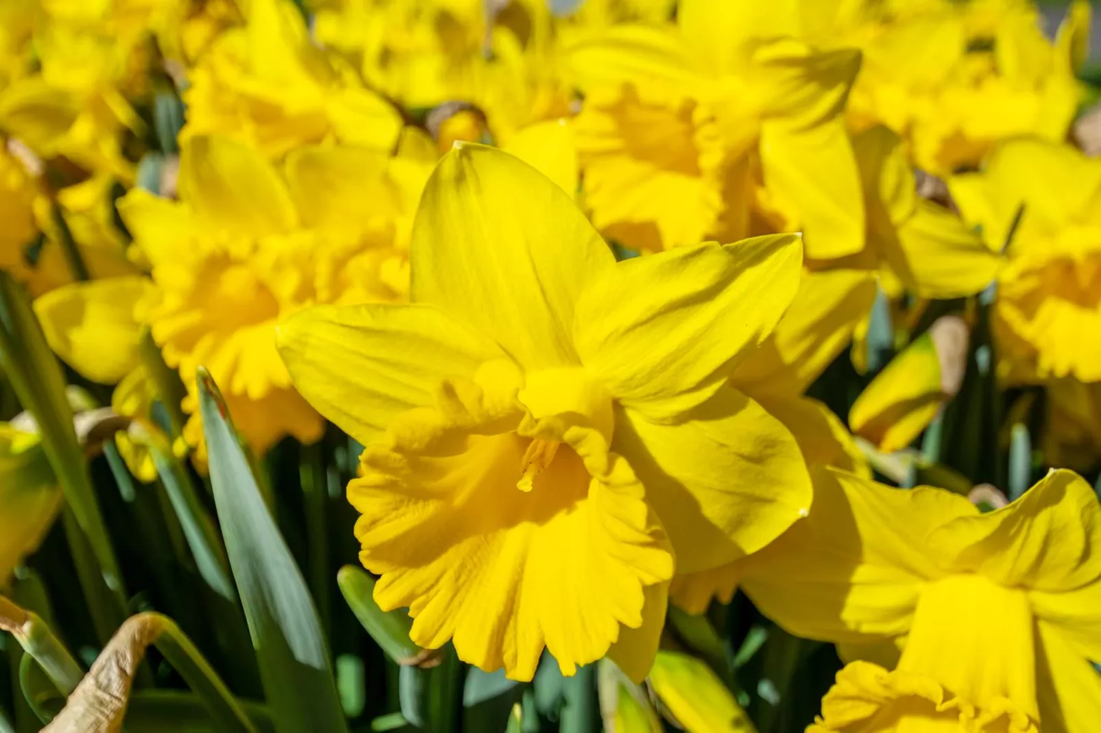 Résidence Juliana 21-Sfeer