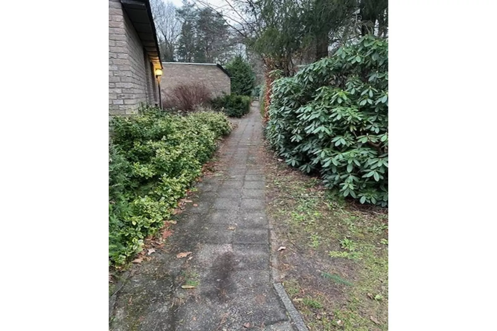 BOSRIJK-Gebieden zomer 1km