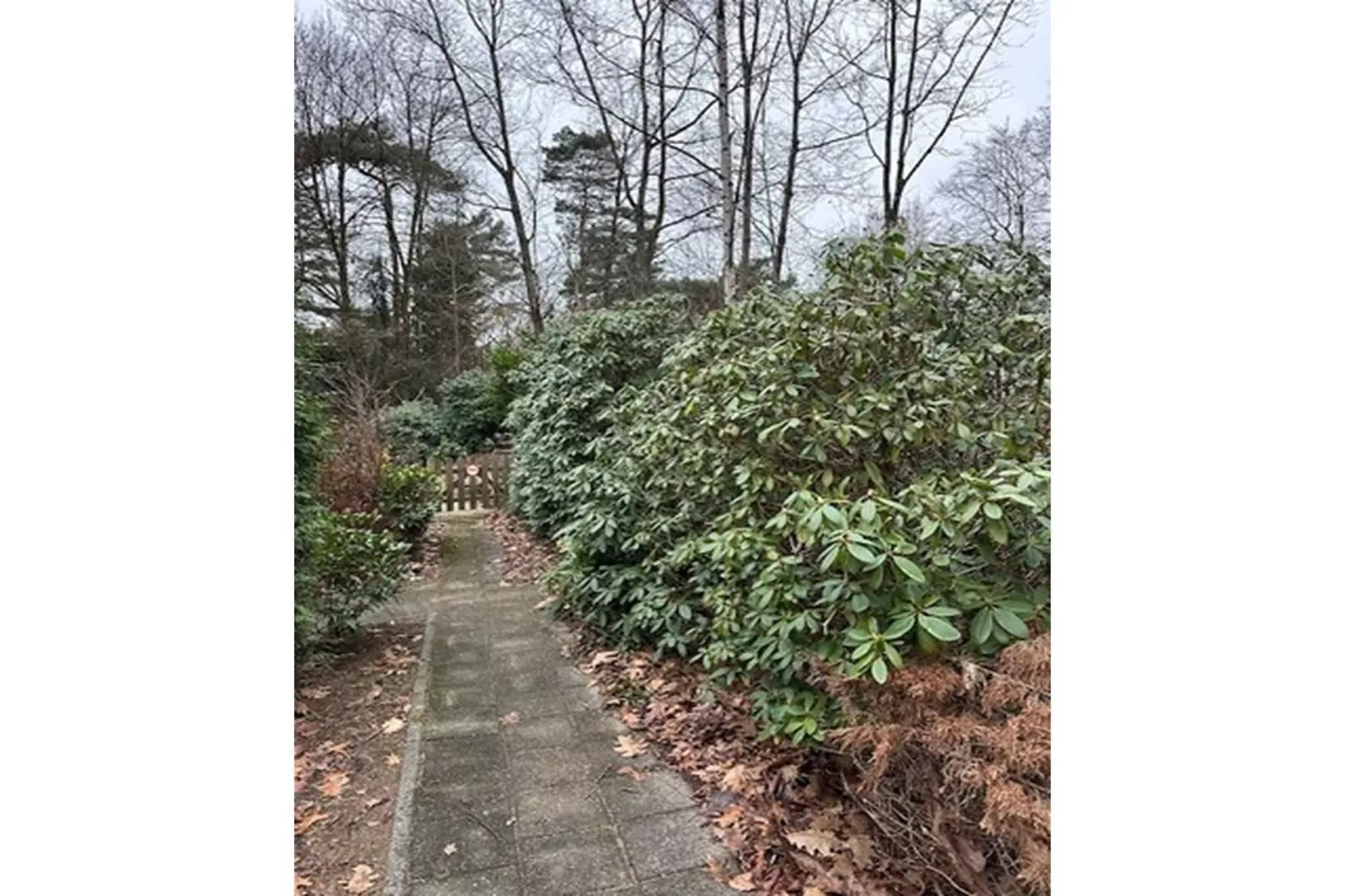 BOSRIJK-Gebieden zomer 1km