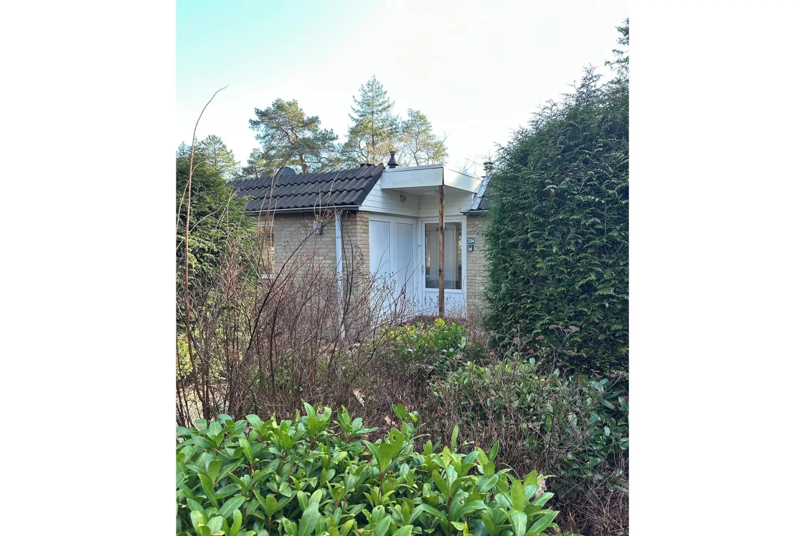 BOSRIJK-Gebieden zomer 1km