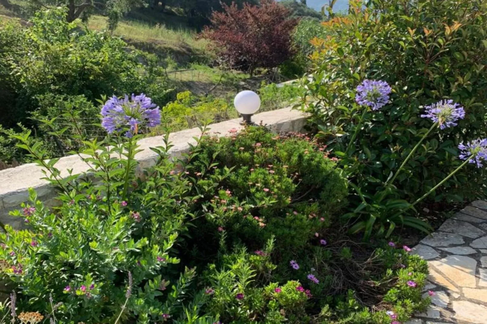 Villa Spirena-Tuinen zomer