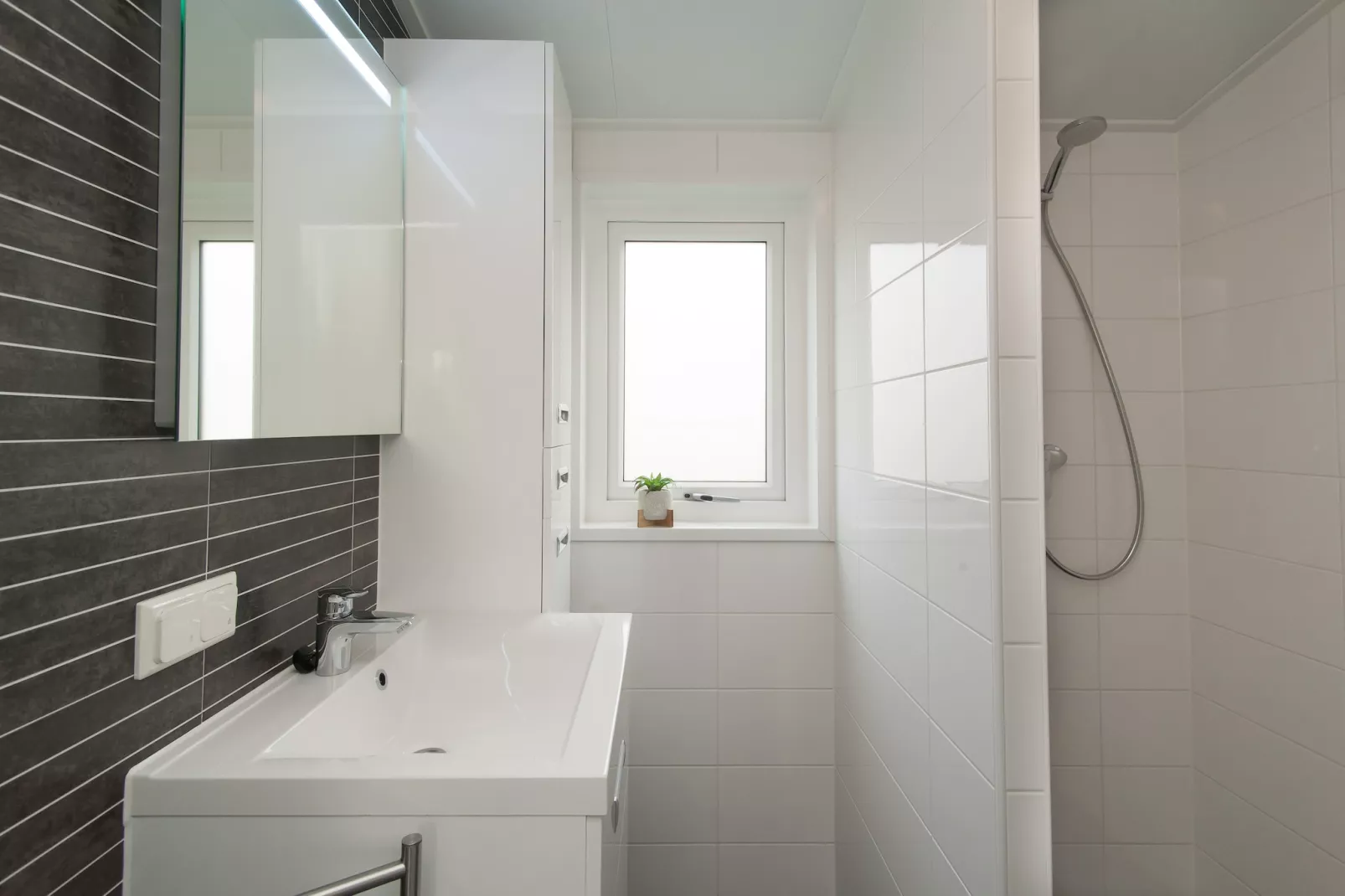 Chalet 4-persoons Huisdiervrij-Badkamer