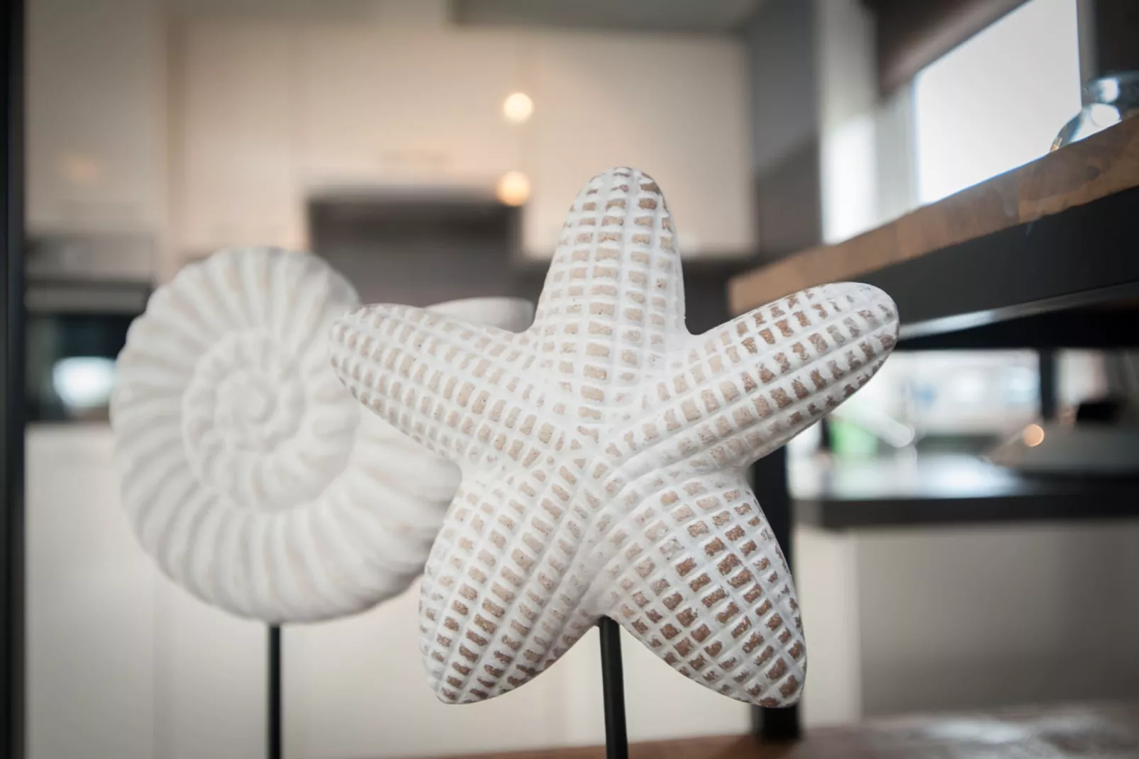 Chalet 4-persoons Huisdiervrij-Sfeer