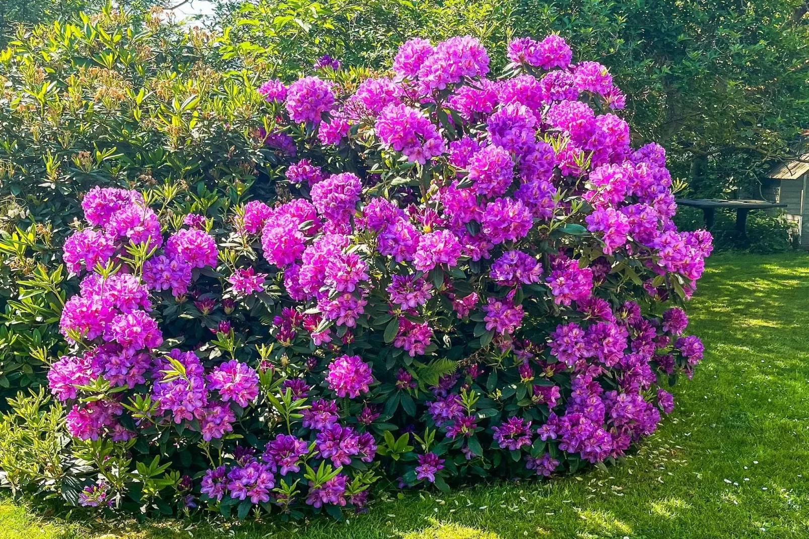 6 Personen vakantie huis in Dannemare