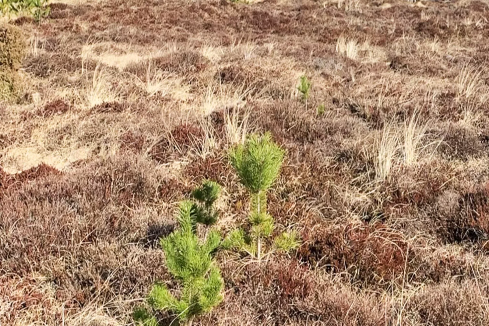 4 sterren vakantie huis in Højby